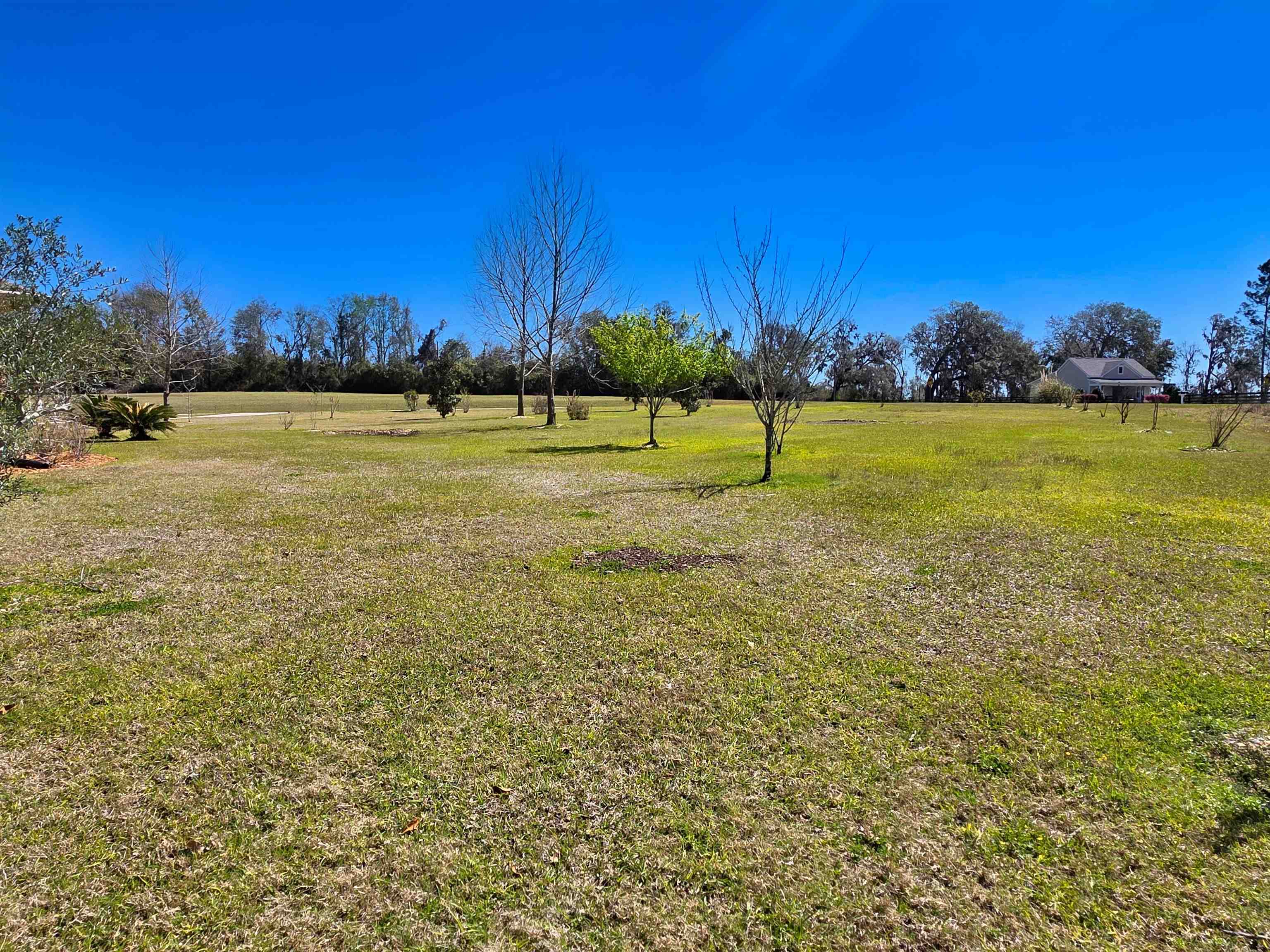 479 NW Appaloosa Way, Madison, Florida image 32