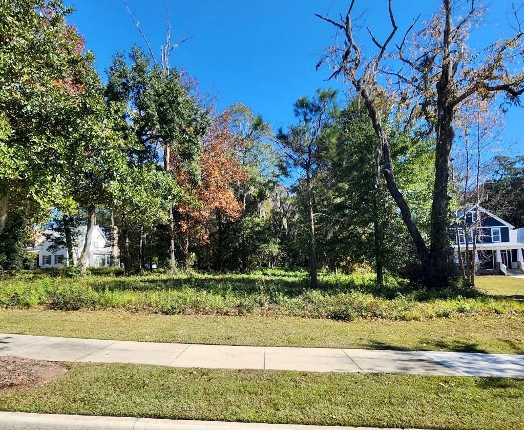 Lot 3 Rhoden Hill Way, Tallahassee, Florida image 1