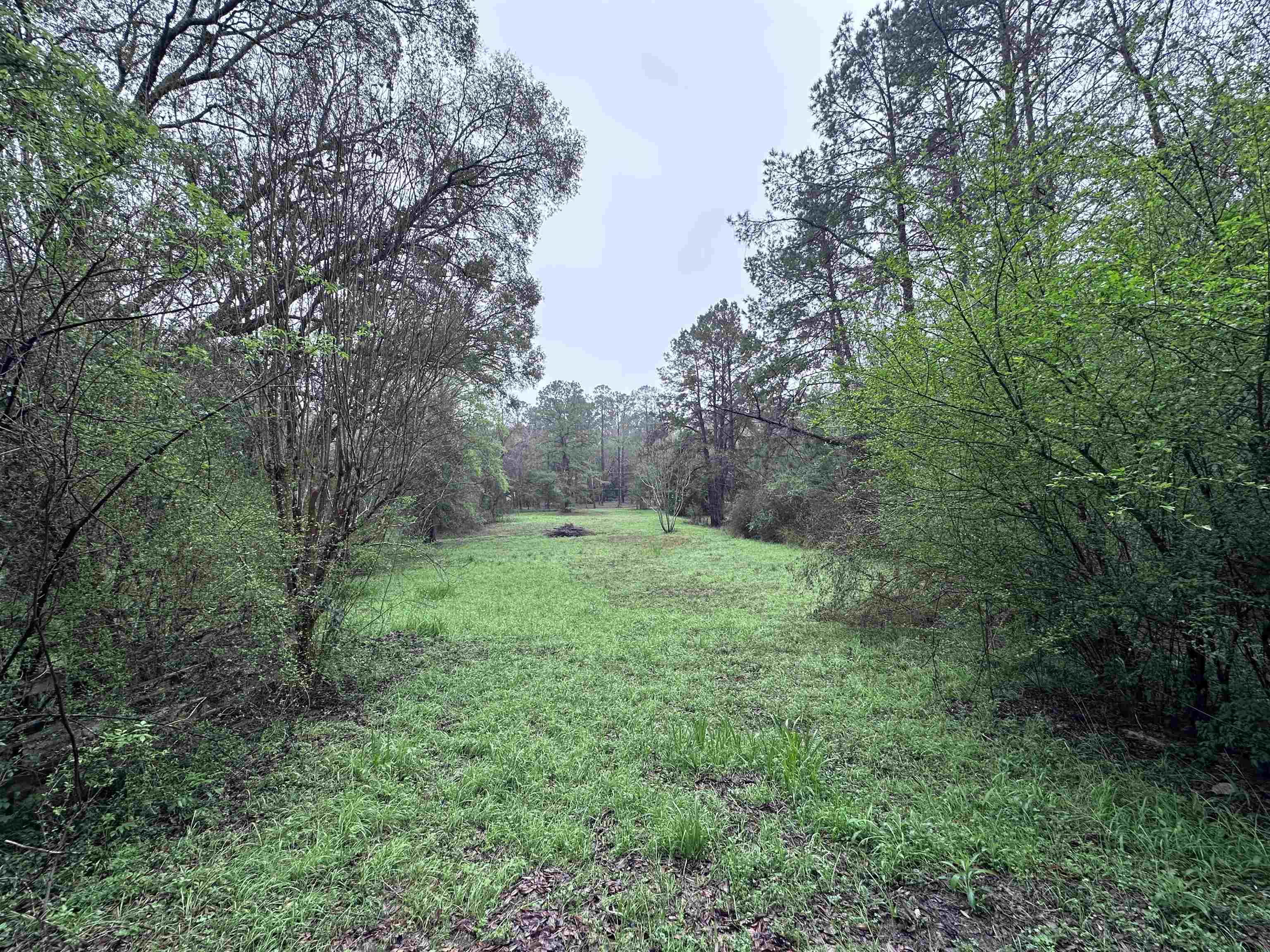 Conestoga Avenue, Tallahassee, Florida image 2