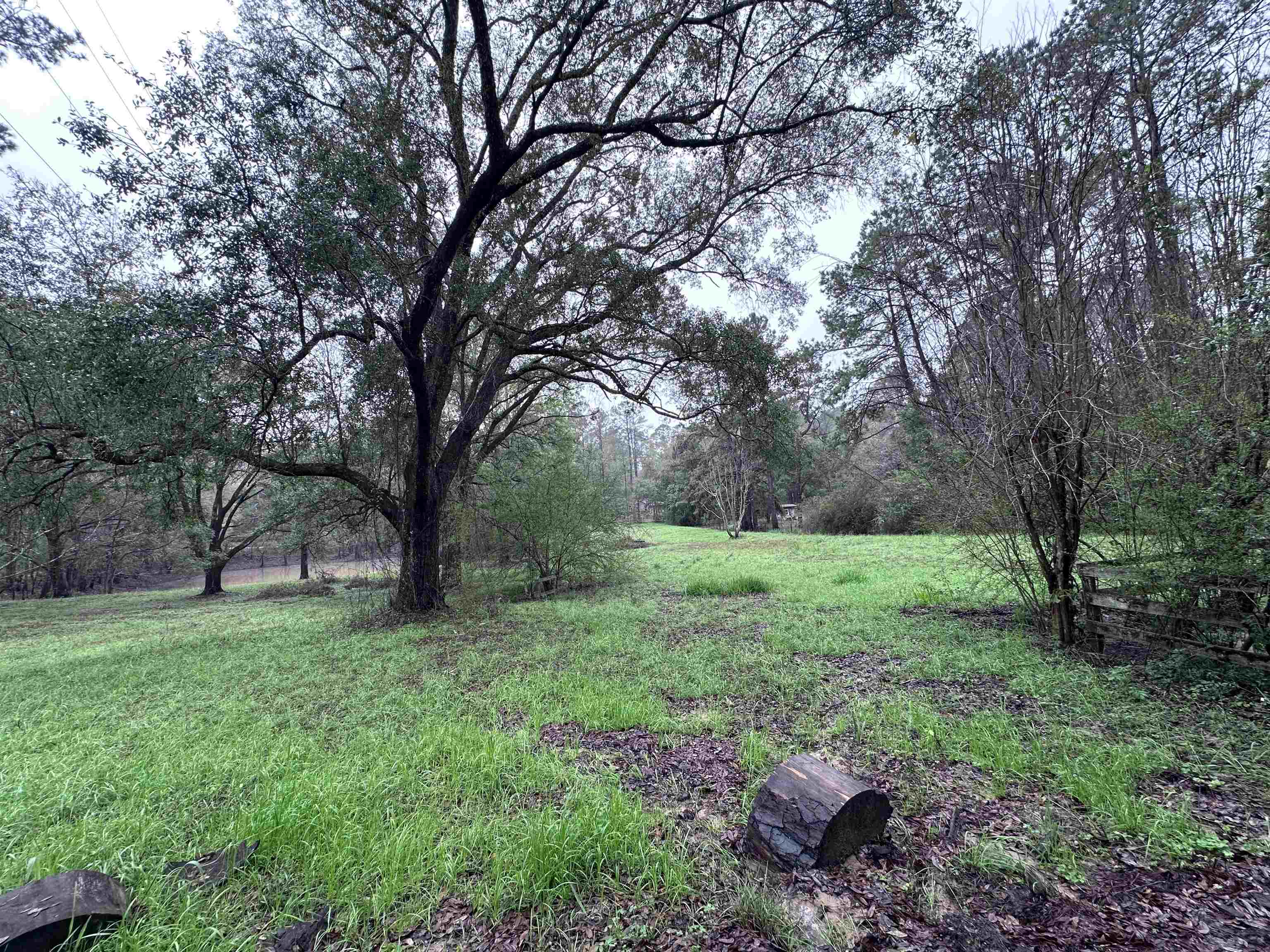 Conestoga Avenue, Tallahassee, Florida image 3