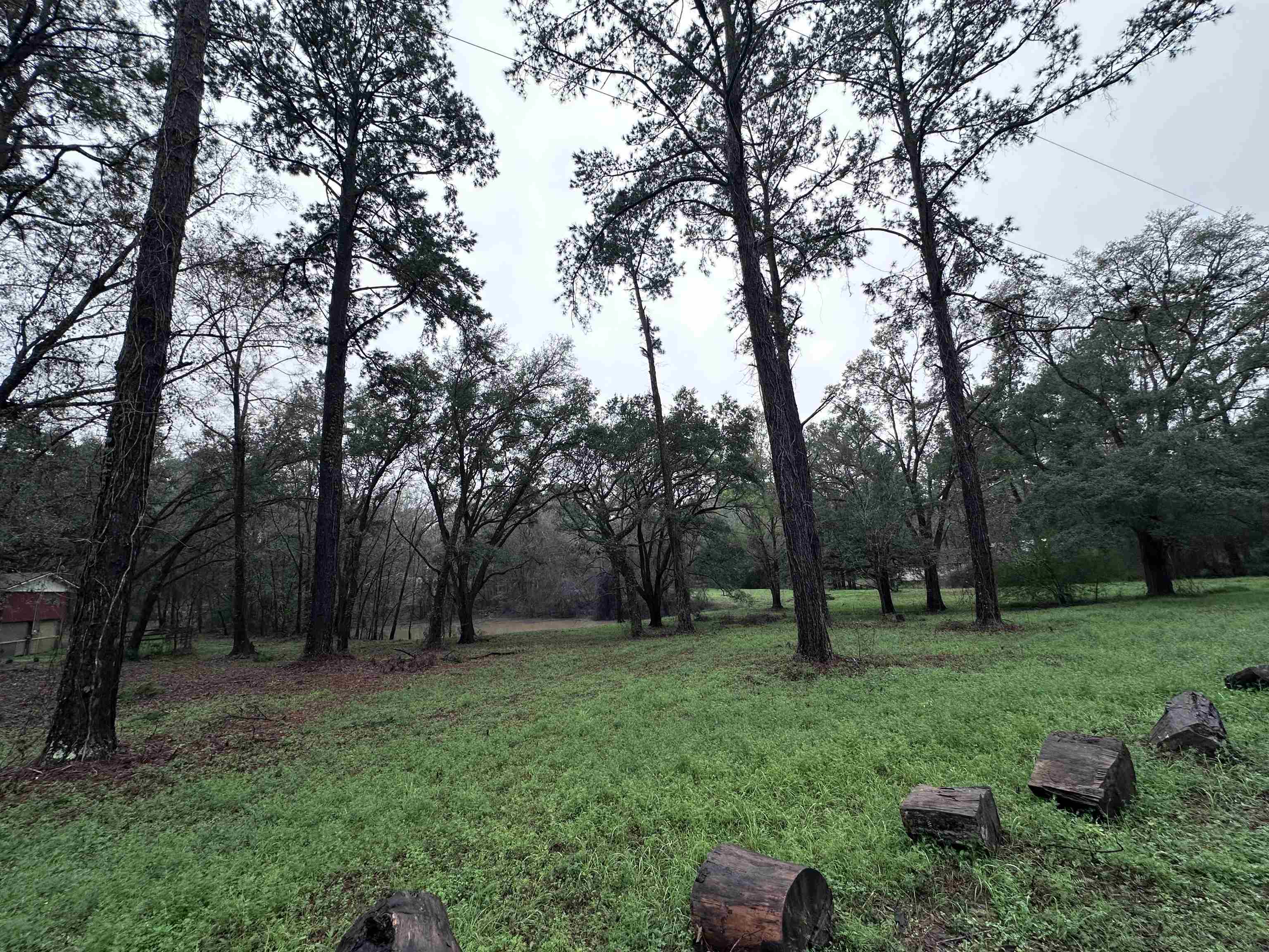 Conestoga Avenue, Tallahassee, Florida image 6