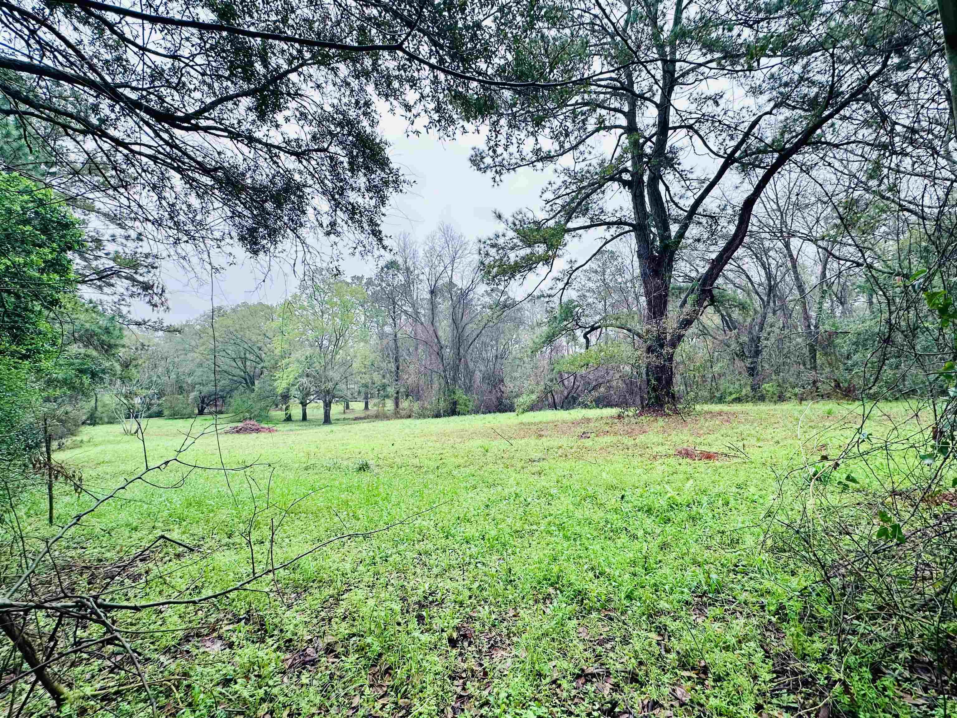 Conestoga Avenue, Tallahassee, Florida image 8