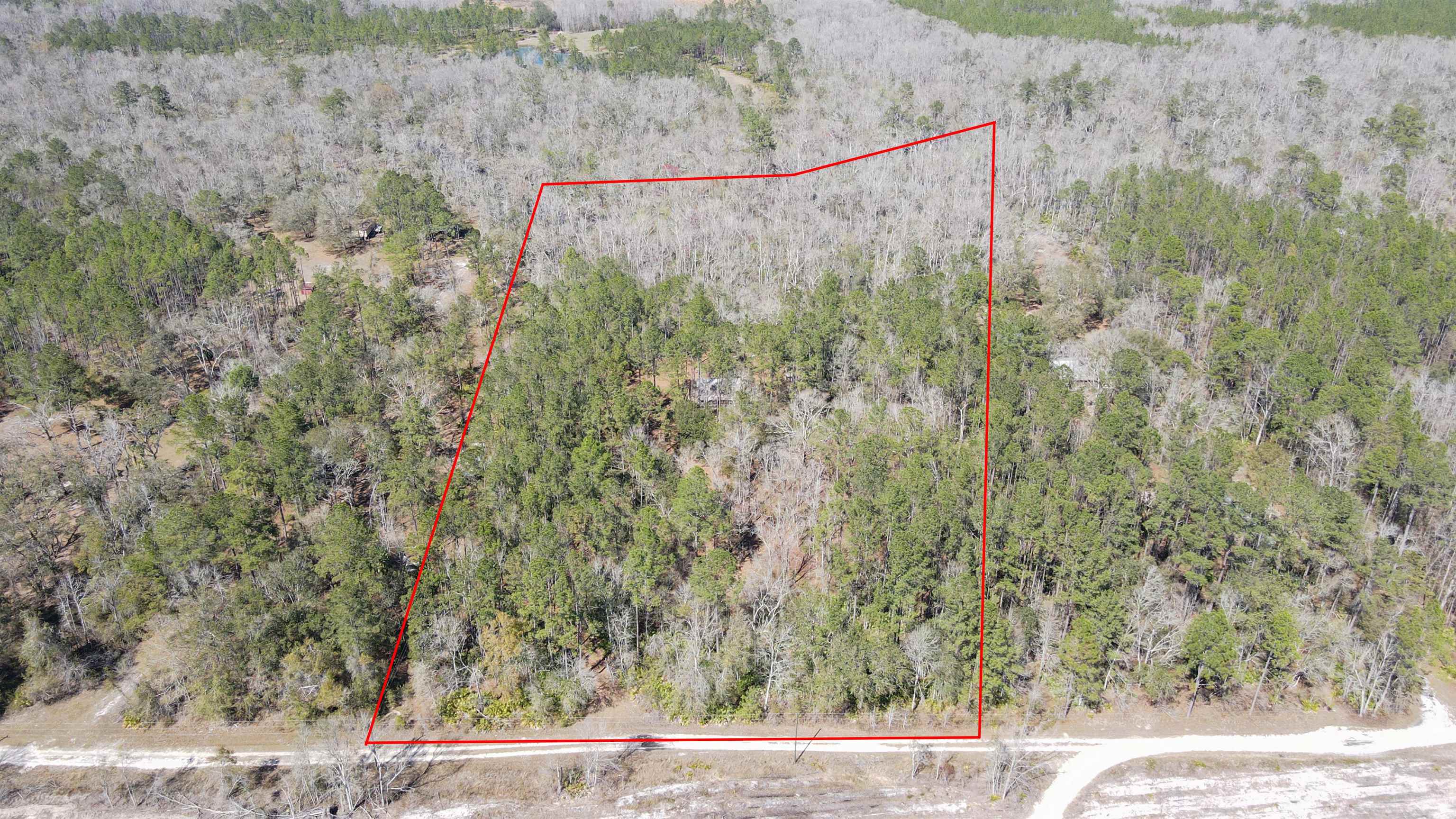 16570 District Drive, Lamont, Florida image 4