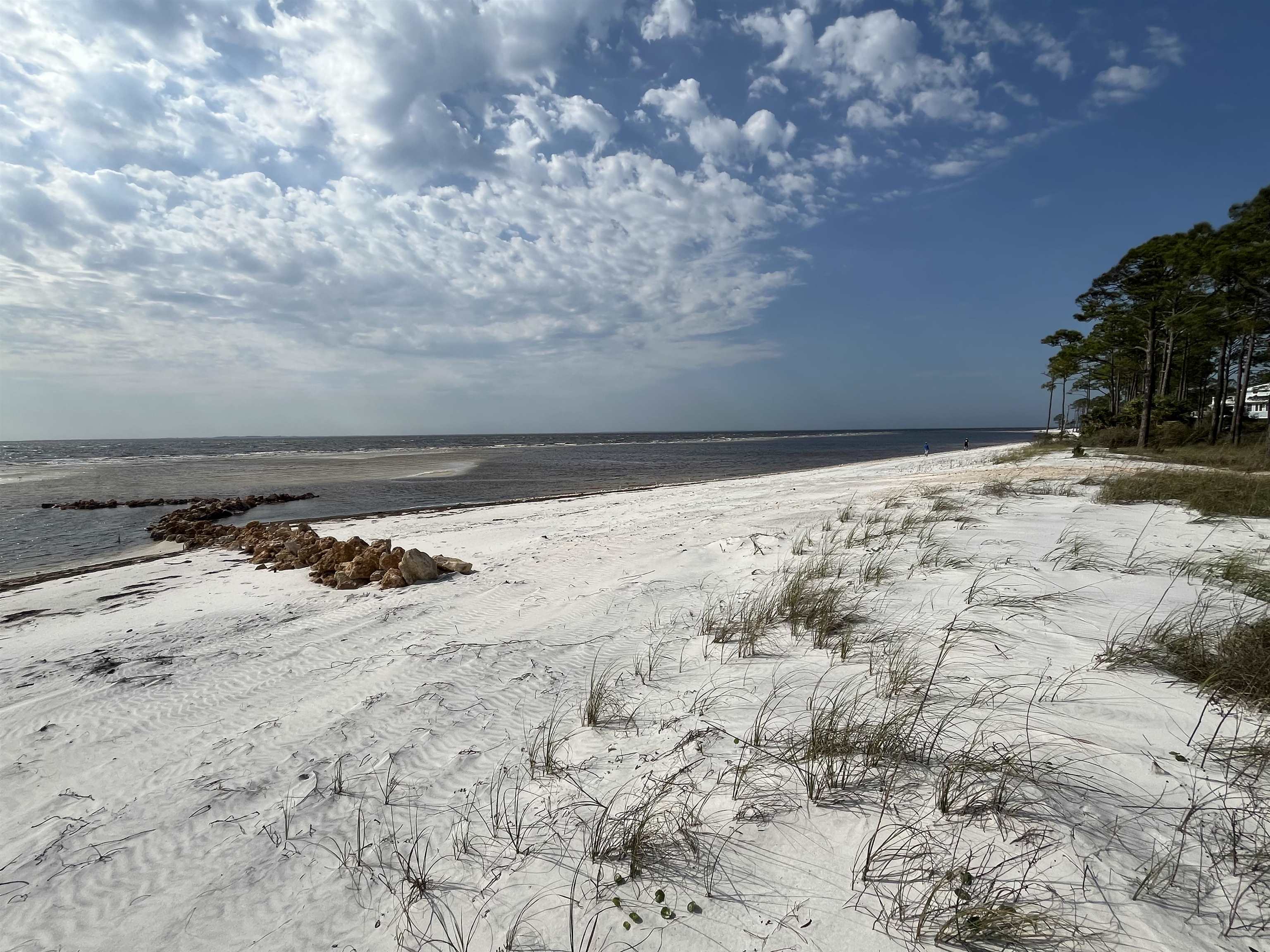2346 Us Hwy 98, Carrabelle, Florida image 3