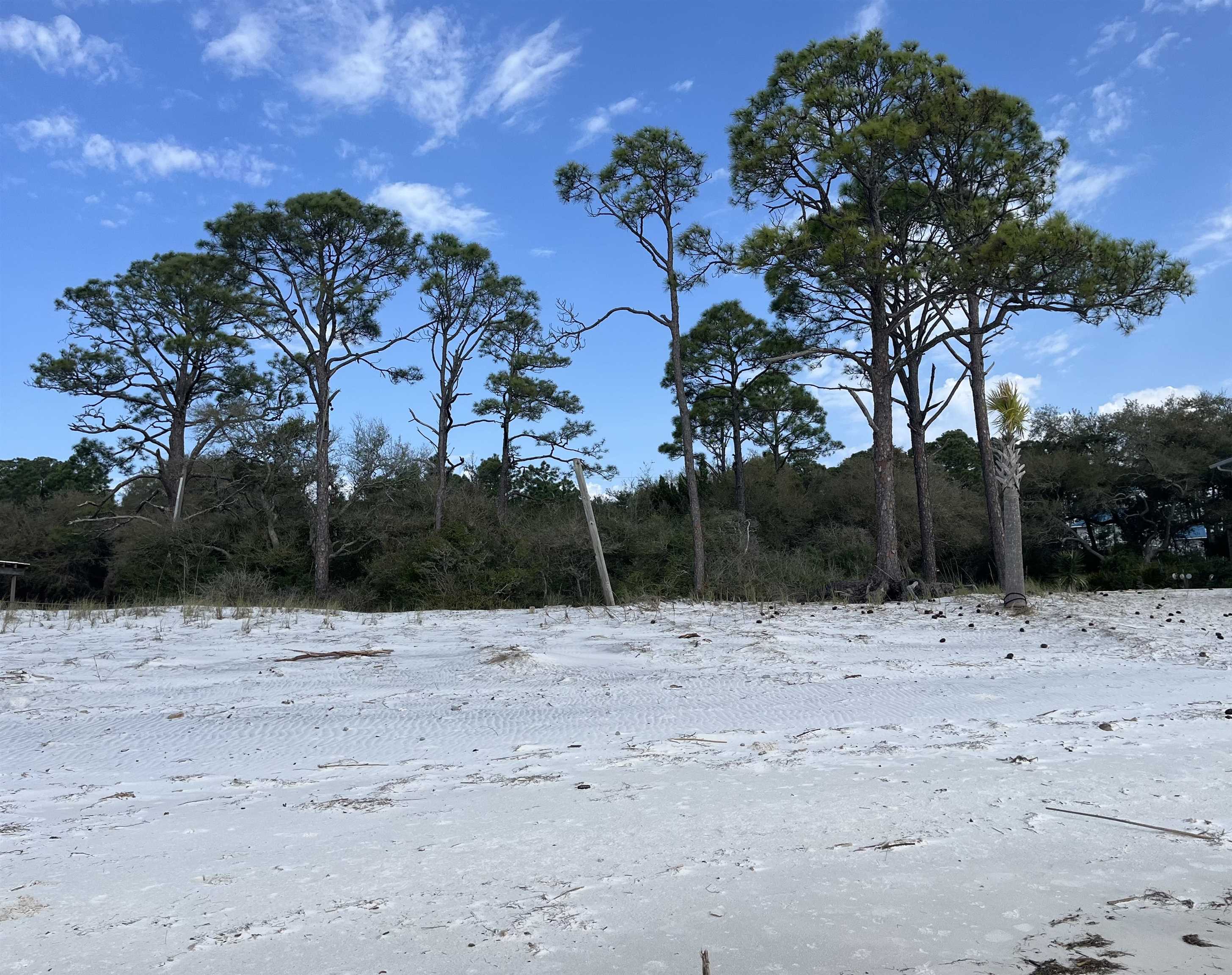 2346 Us Hwy 98, Carrabelle, Florida image 5