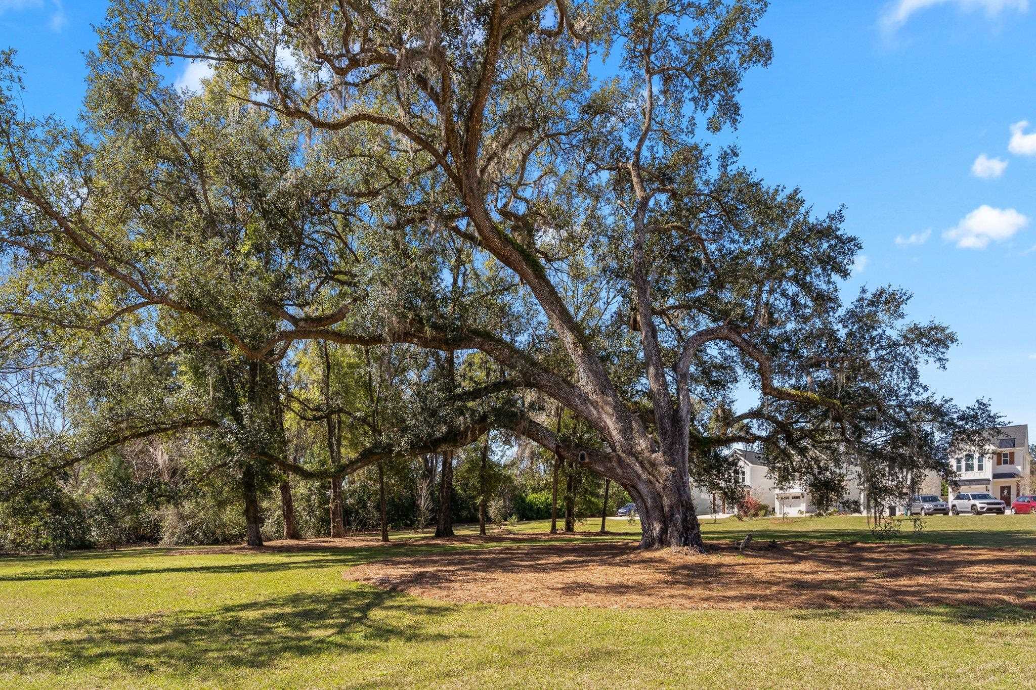 414 Grand Oaks, Tallahassee, Texas image 40