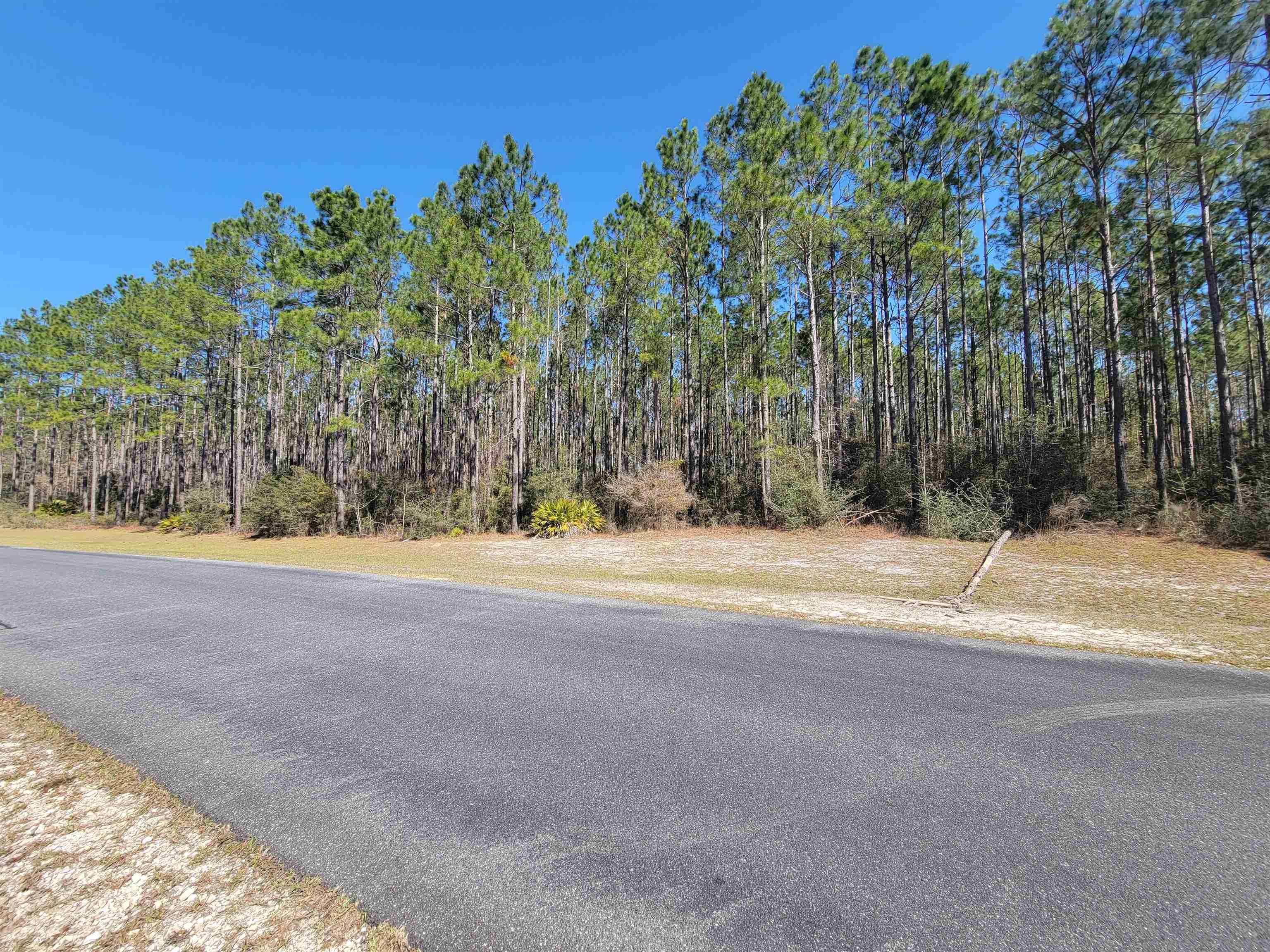 Lot 17 Blk E Ranch Club Road, Tallahassee, Florida image 4