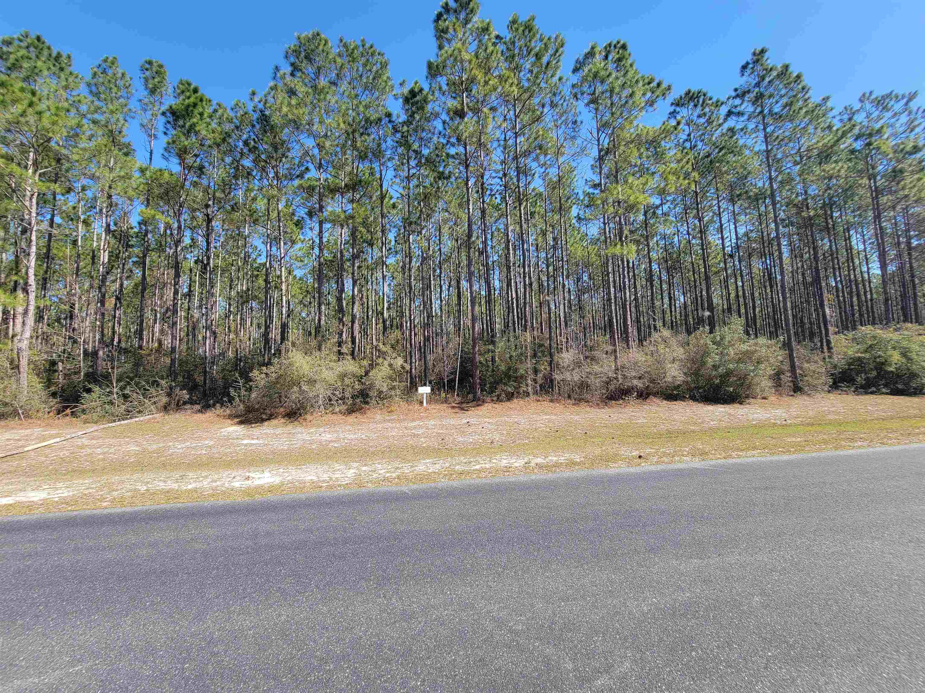 Lot 17 Blk E Ranch Club Road, Tallahassee, Florida image 6