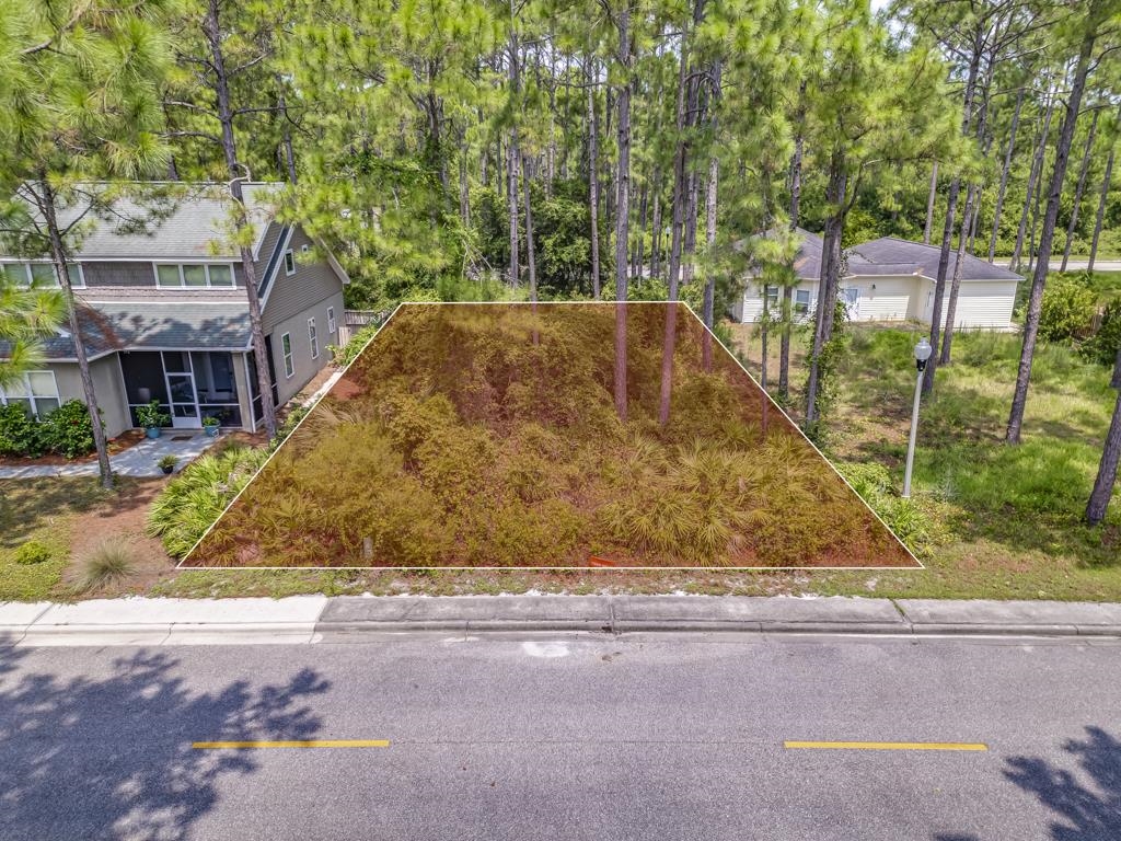 123 Skimmer Lane, Carrabelle, Florida image 2