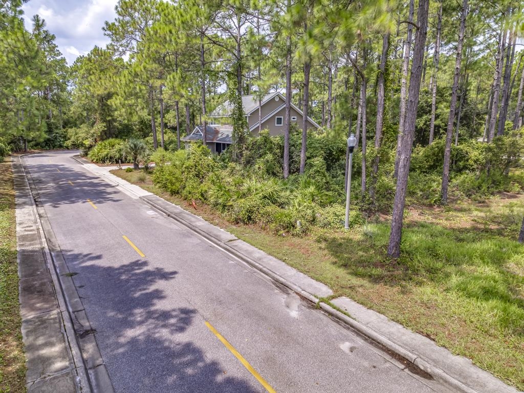 123 Skimmer Lane, Carrabelle, Florida image 4