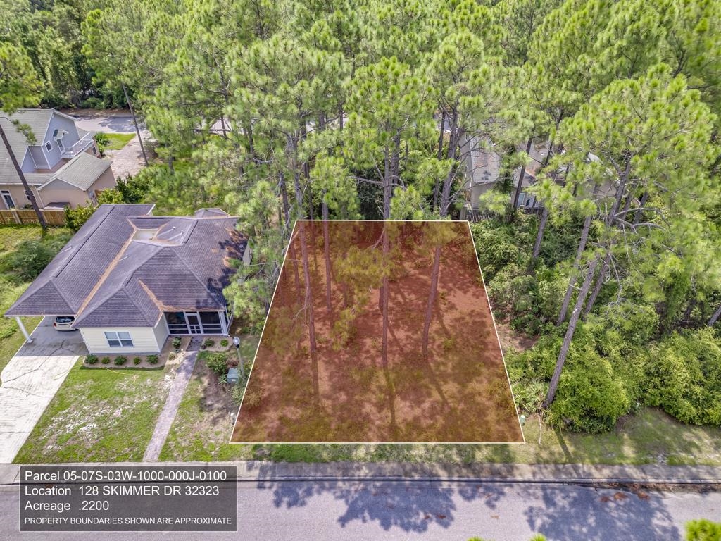 128 Skimmer Drive, Carrabelle, Florida image 3