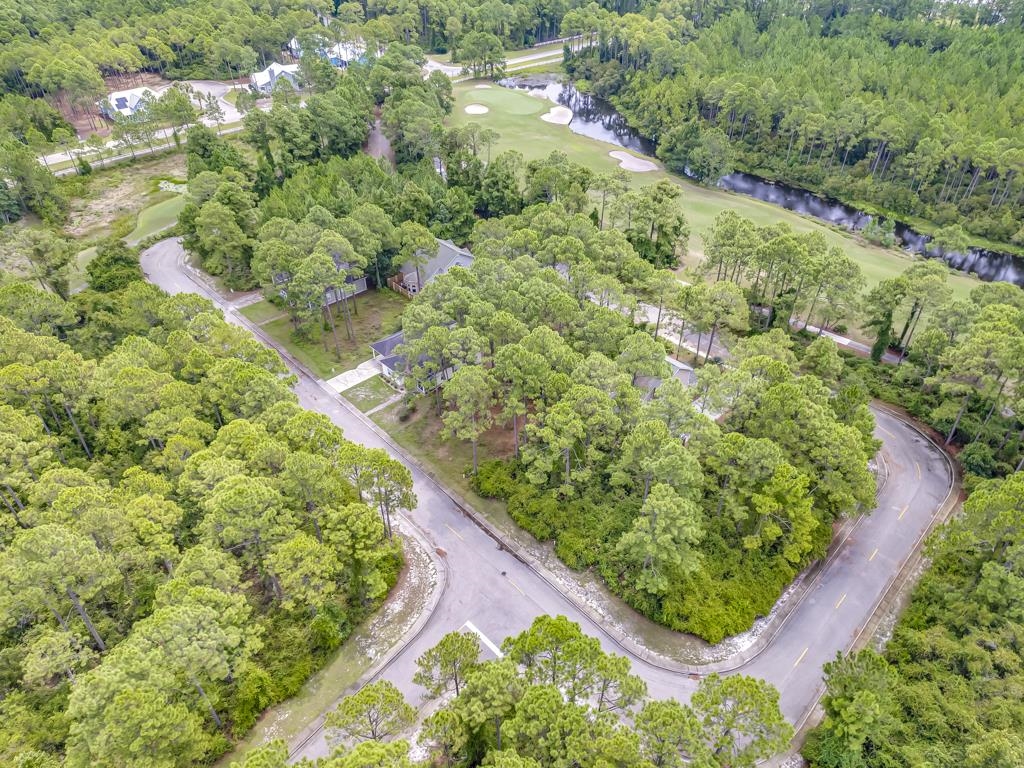 128 Skimmer Drive, Carrabelle, Florida image 9