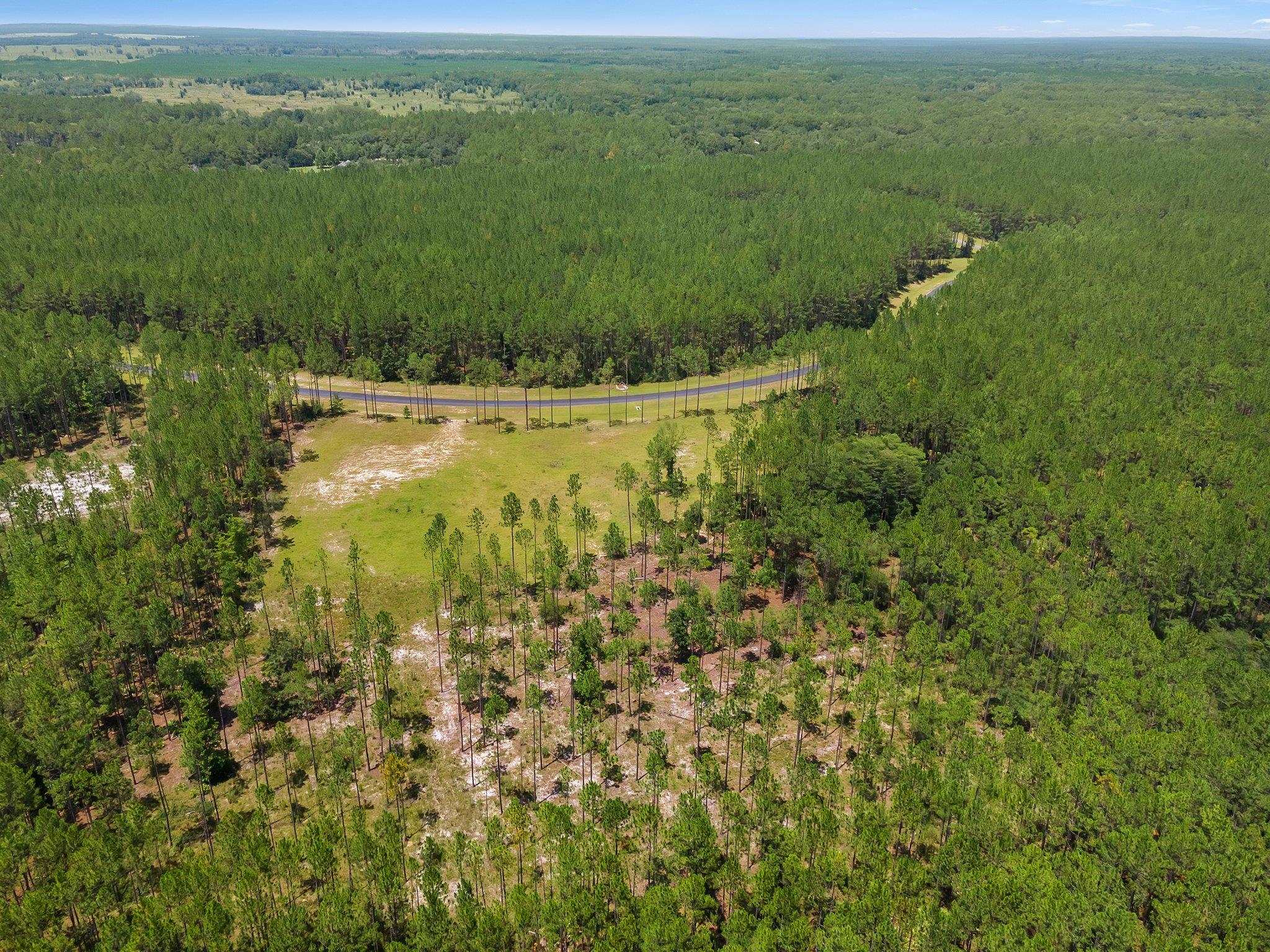 6961 Ranch Club Road, Tallahassee, Florida image 10