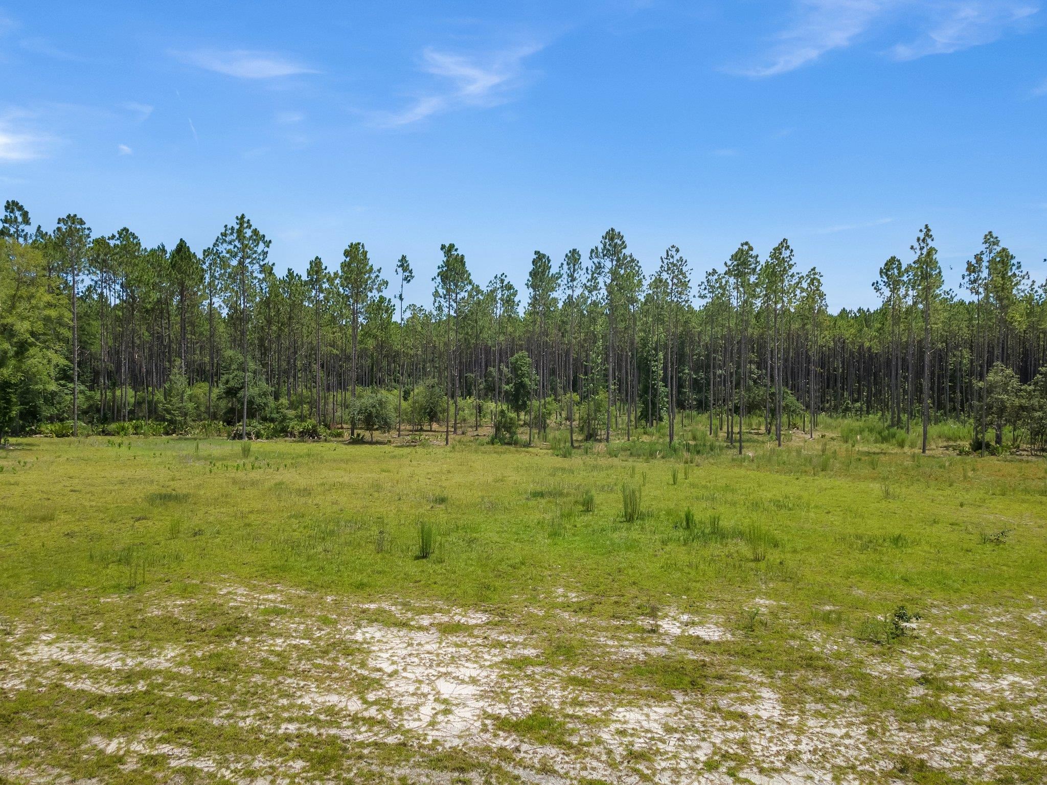 6961 Ranch Club Road, Tallahassee, Florida image 11