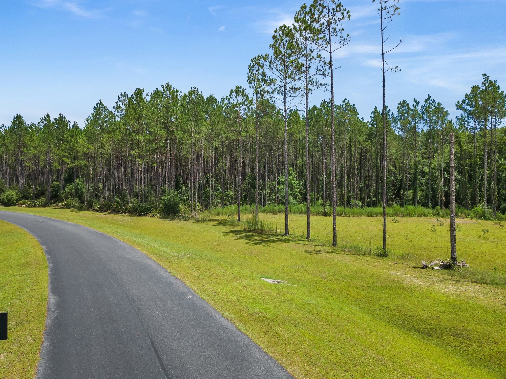 6961 Ranch Club Road, Tallahassee, Florida image 4