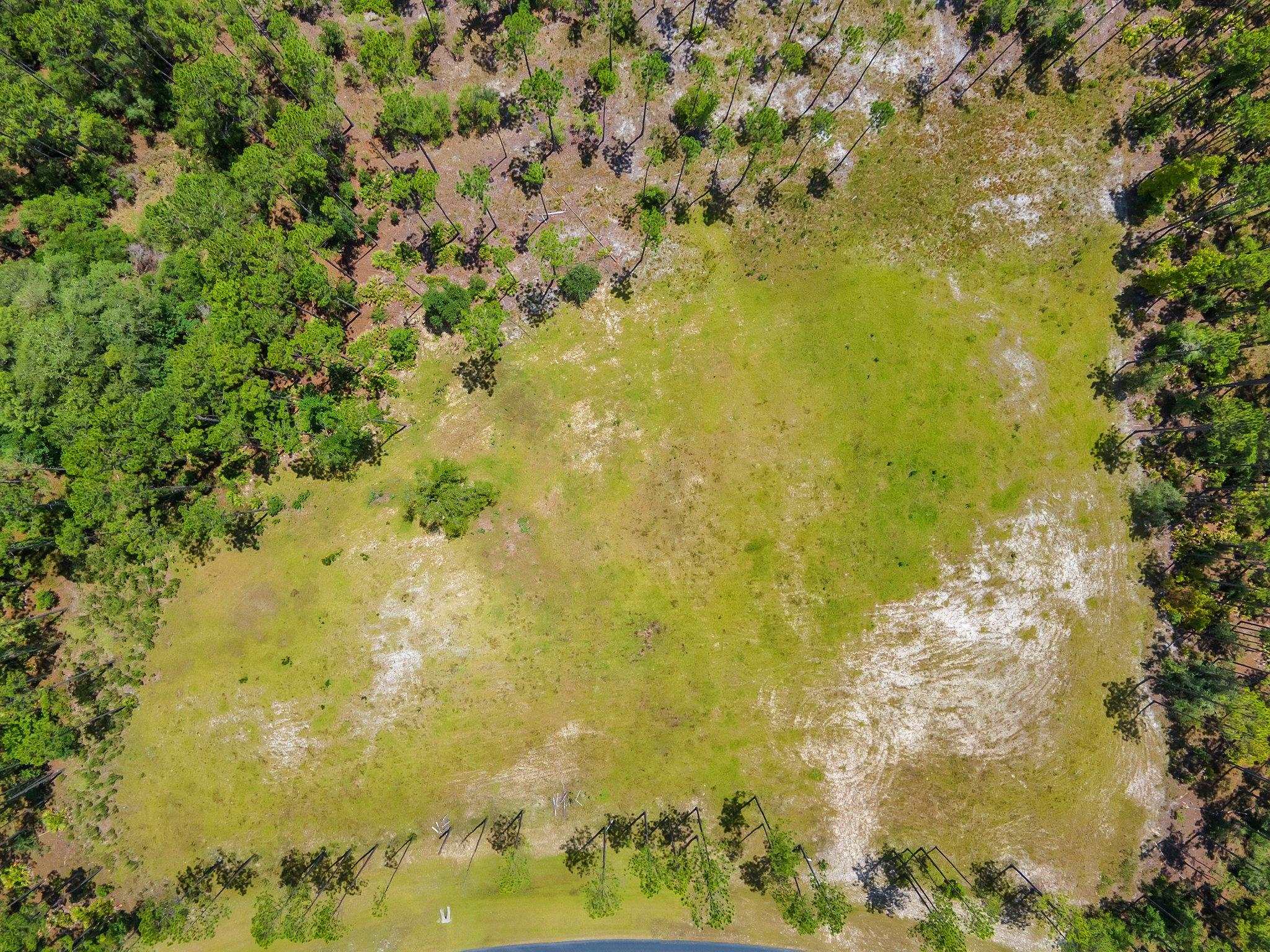 6961 Ranch Club Road, Tallahassee, Florida image 8