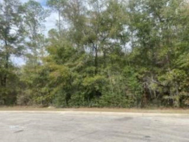 Xxxx Crawfordville Highway, Crawfordville, Florida image 2