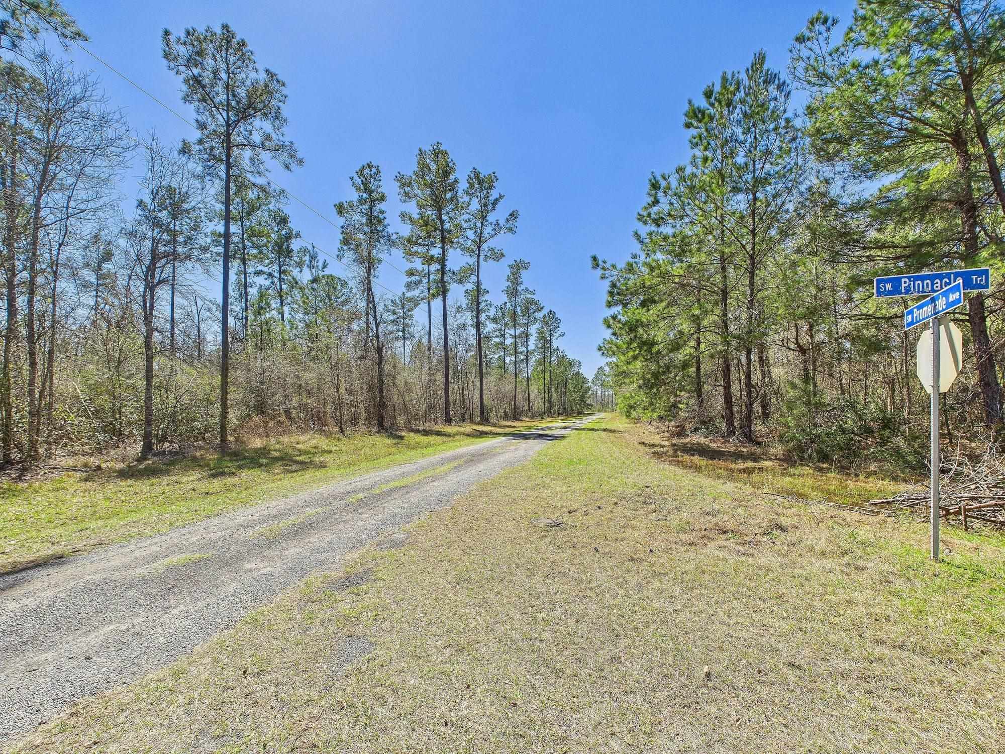 Vacant SW Promenade Avenue, Greenville, Florida image 1