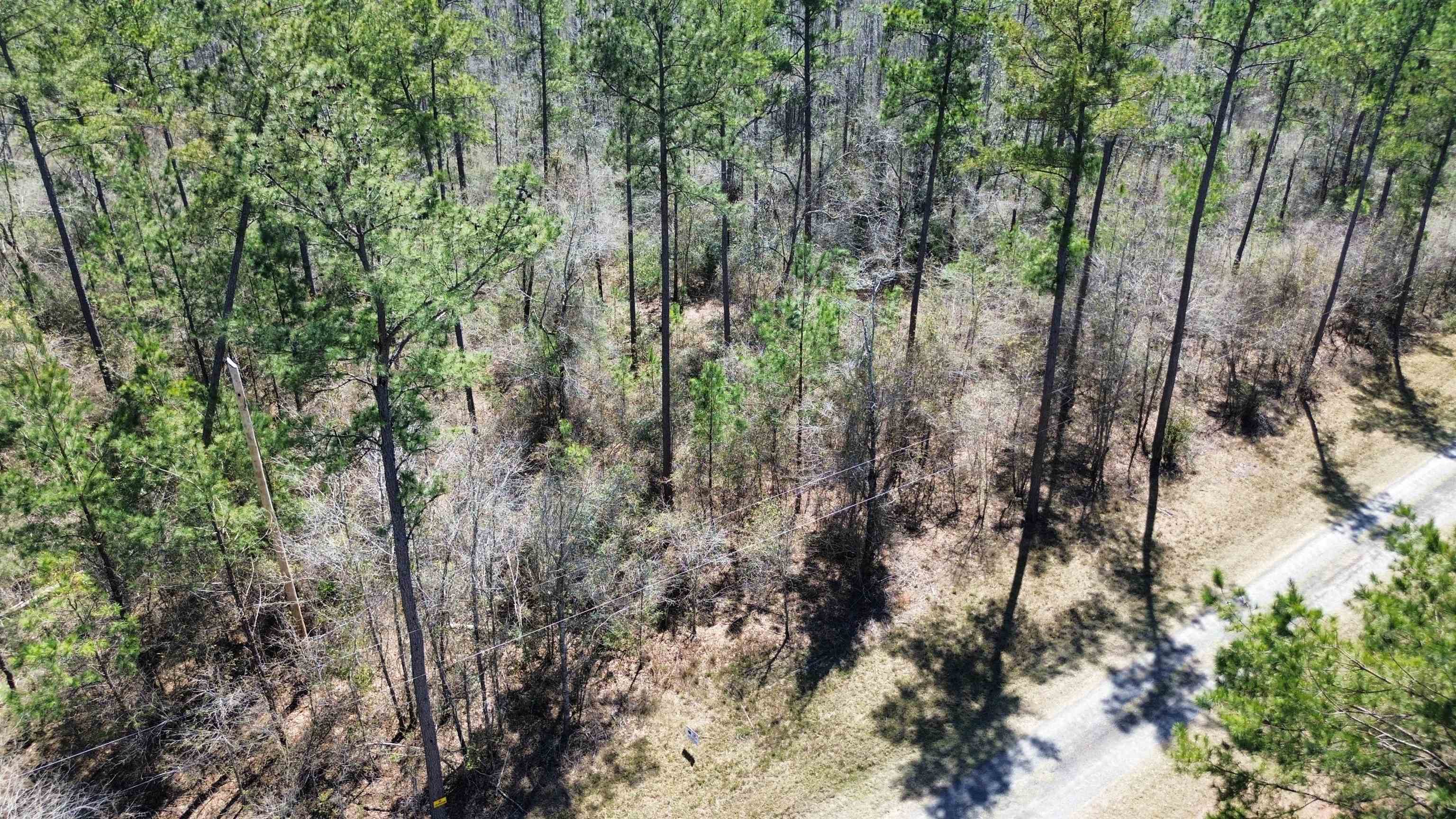 Vacant SW Promenade Avenue, Greenville, Florida image 12