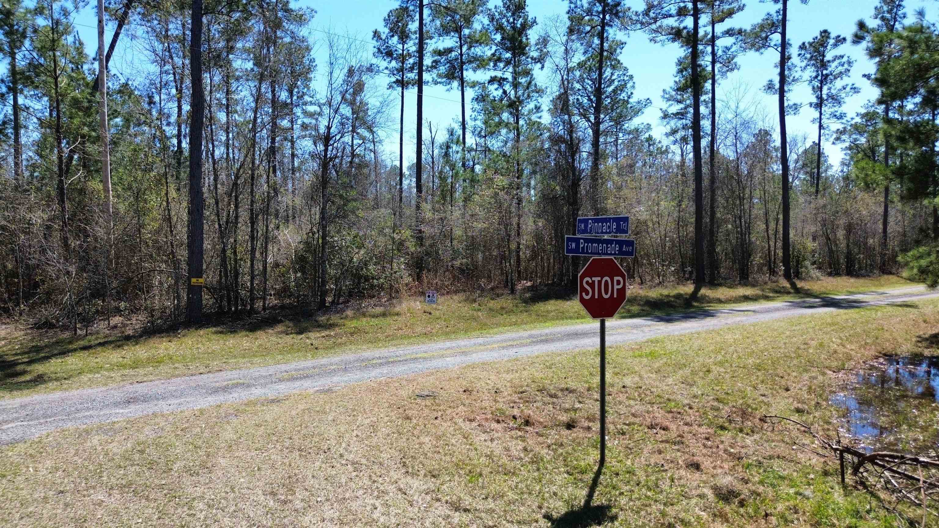 Vacant SW Promenade Avenue, Greenville, Florida image 2