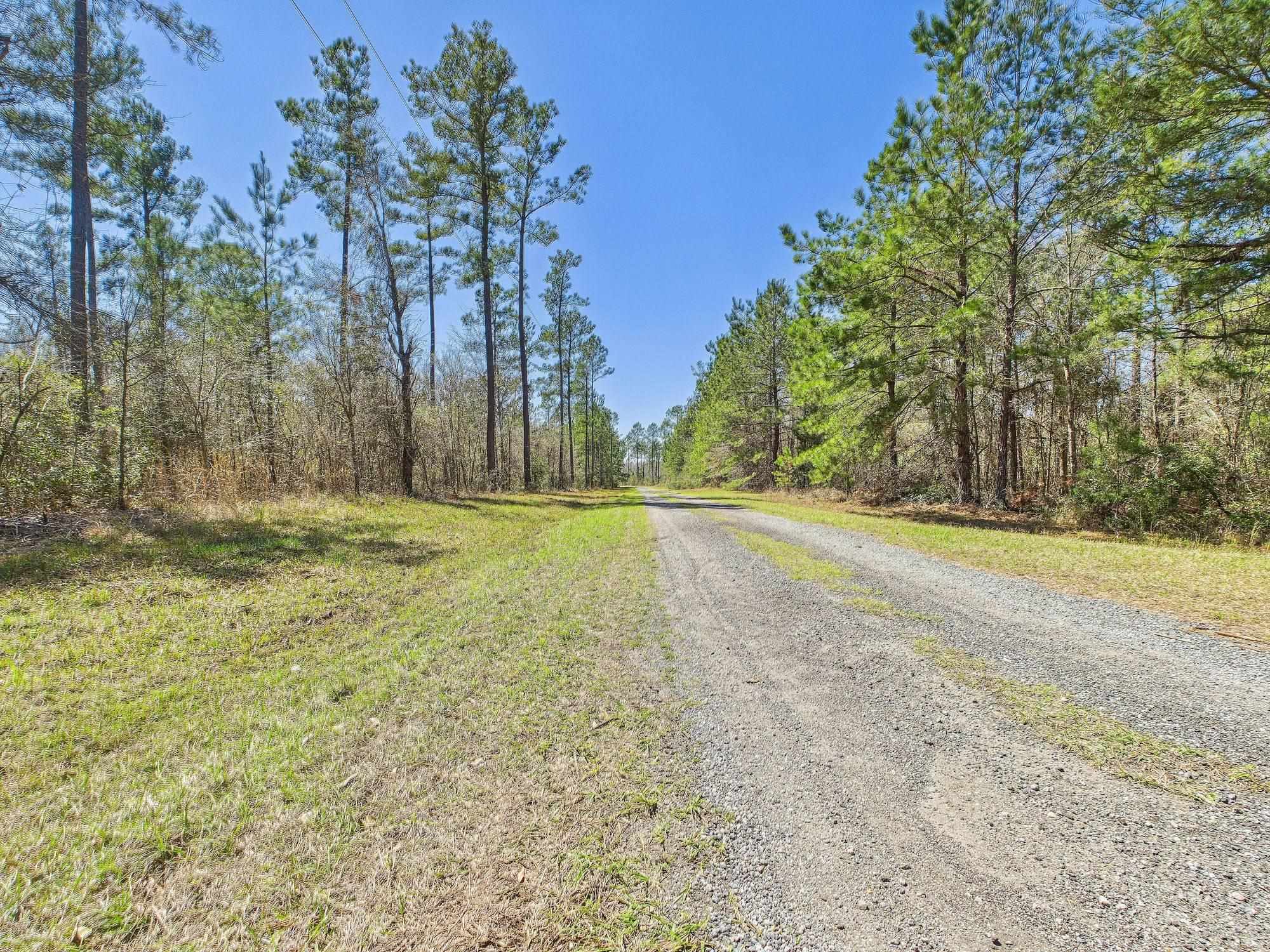 Vacant SW Promenade Avenue, Greenville, Florida image 3