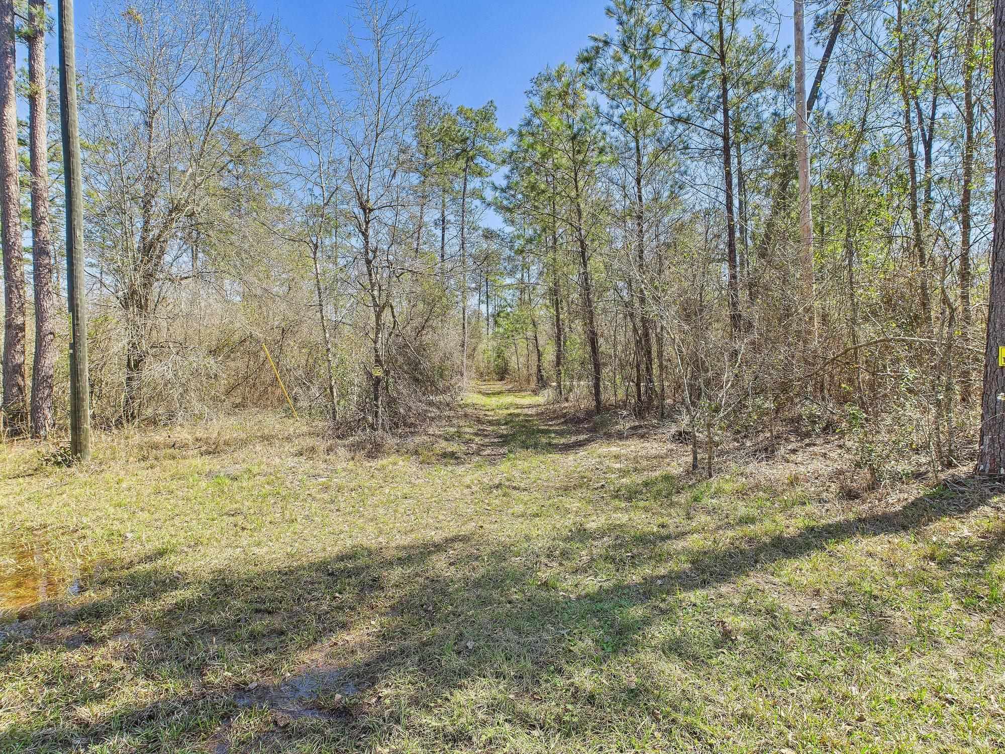 Vacant SW Promenade Avenue, Greenville, Florida image 4