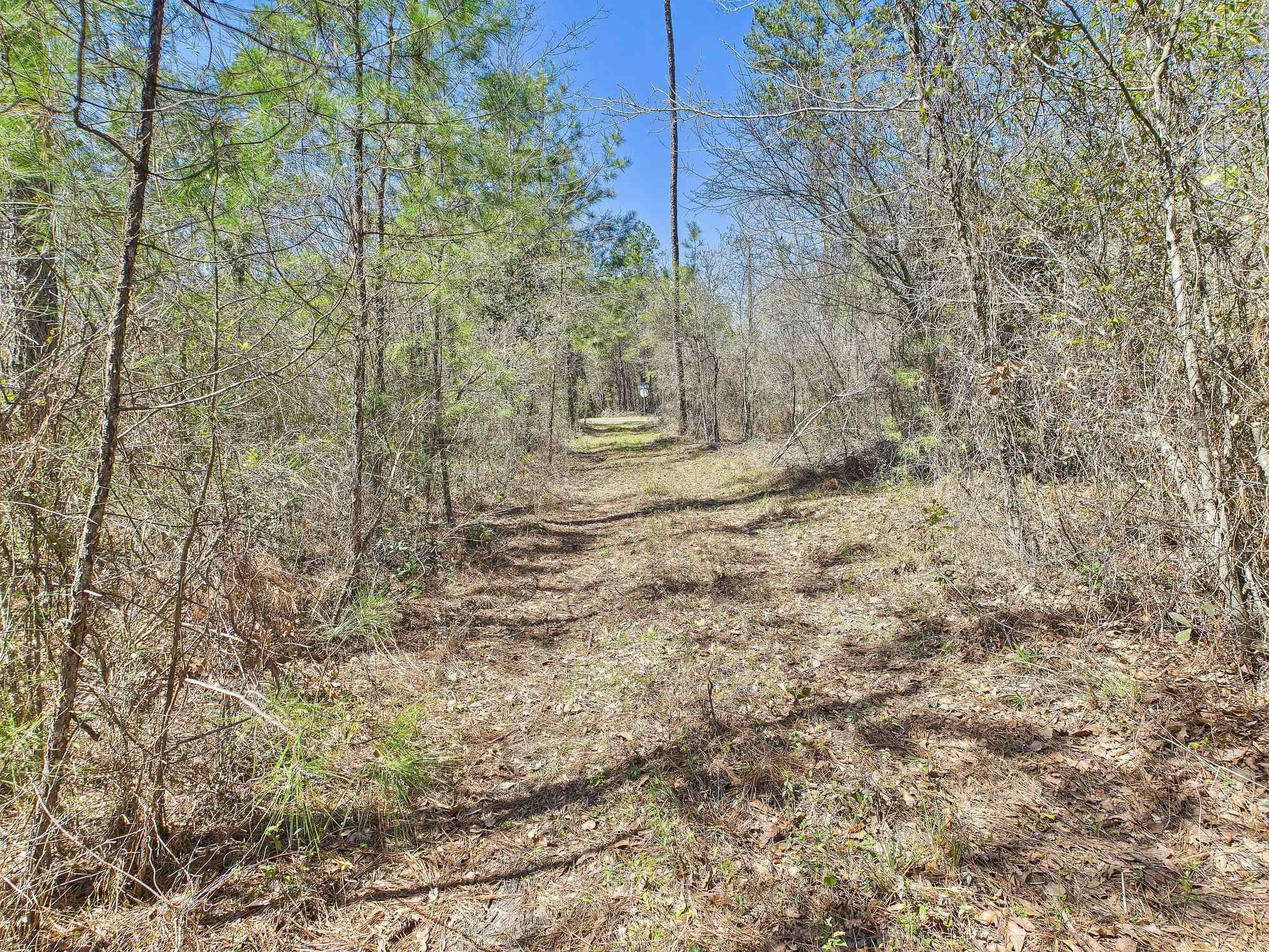 Vacant SW Promenade Avenue, Greenville, Florida image 5