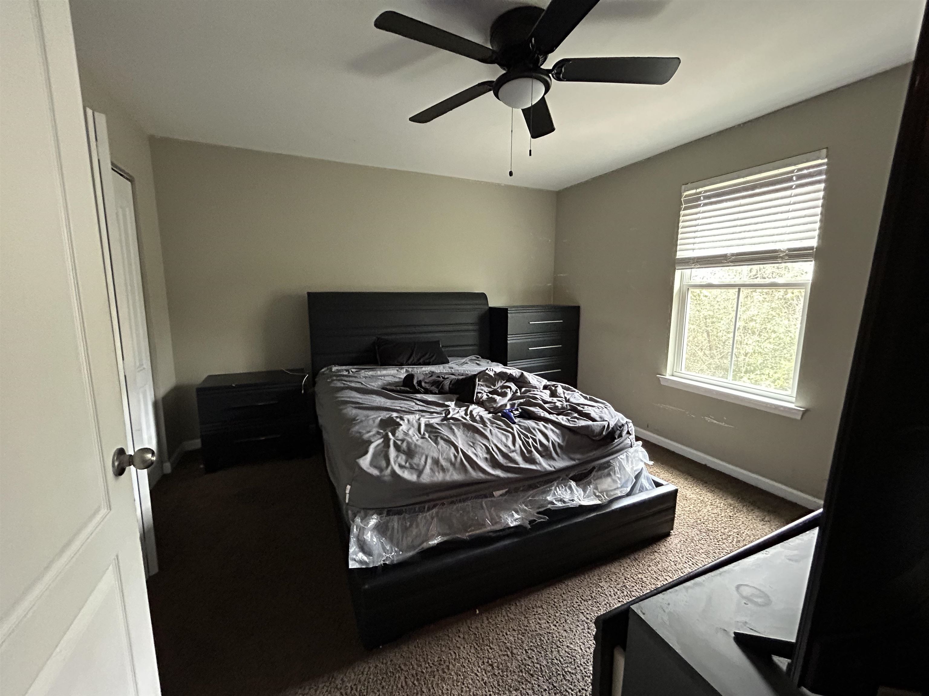 3657 Tyson Green Way #303, Tallahassee, Florida image 15