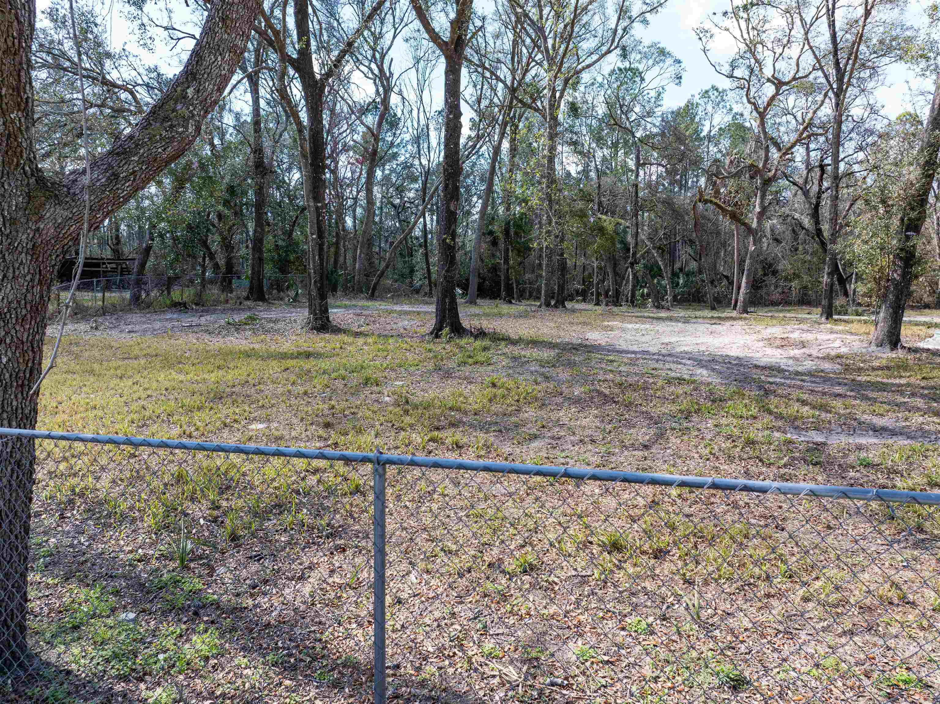 1113 NW Banta Acres Rd, Mayo, Florida image 39