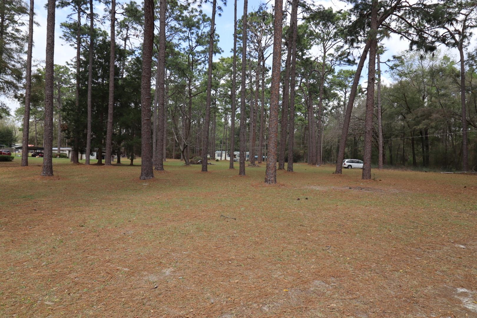 11350 Granny Lane #4, Tallahassee, Florida image 35