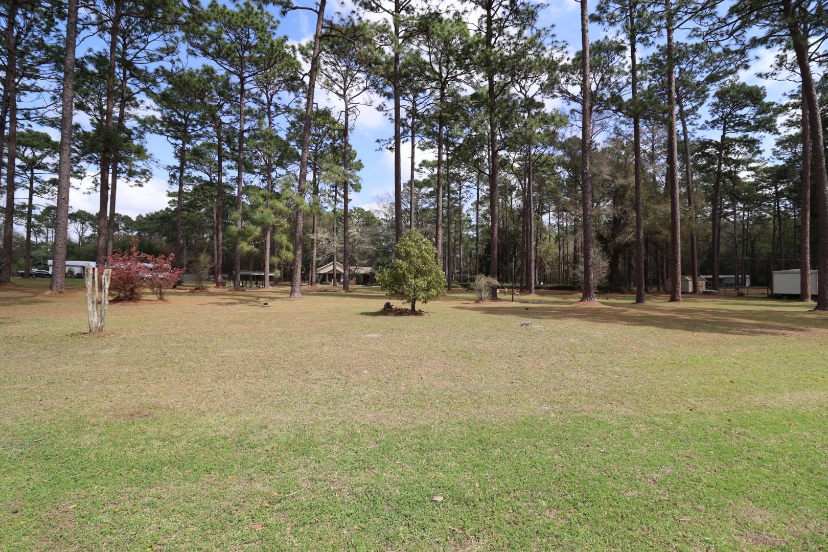 11350 Granny Lane #4, Tallahassee, Florida image 39