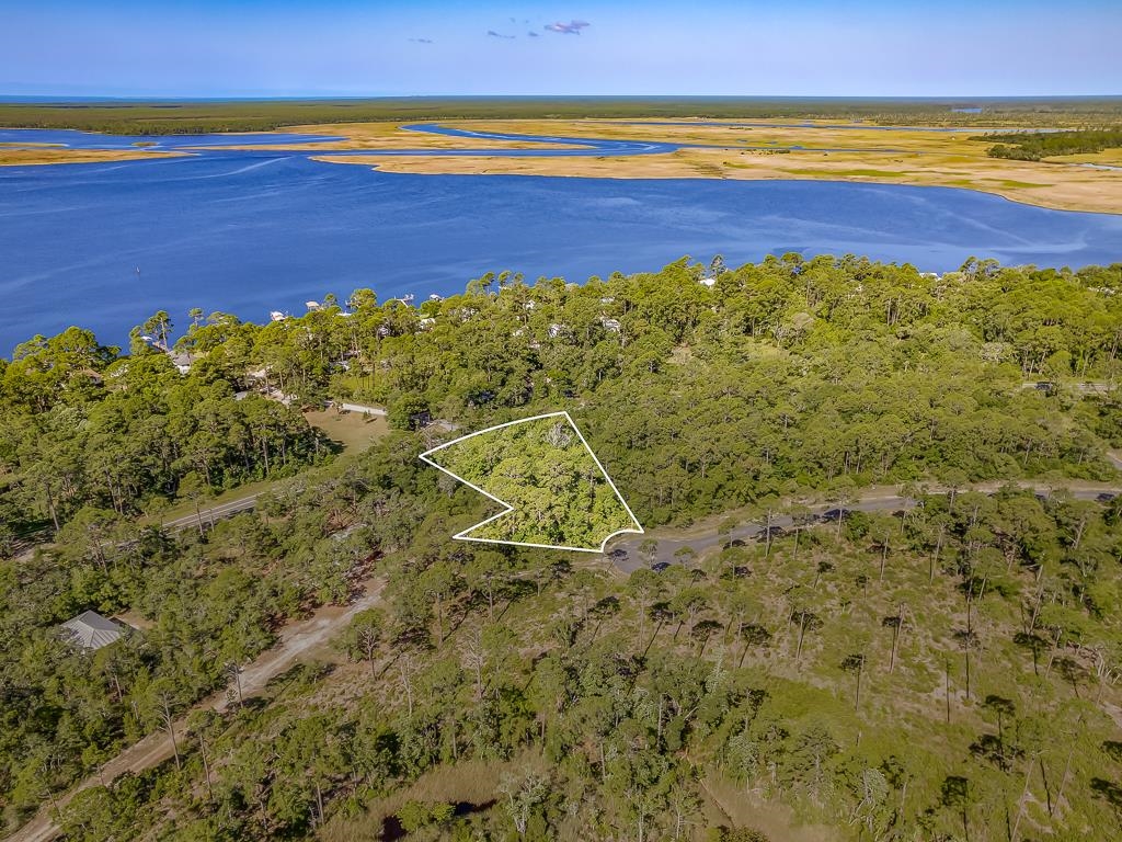 X Ramsey Way, Panacea, Florida image 1