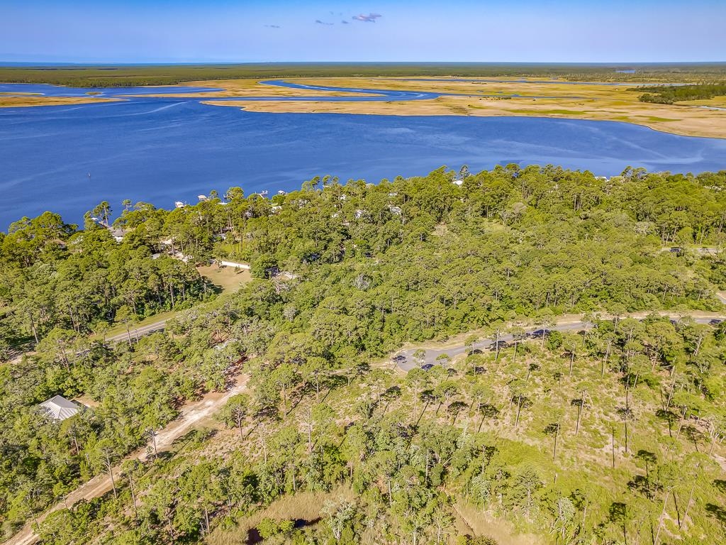 X Ramsey Way, Panacea, Florida image 10