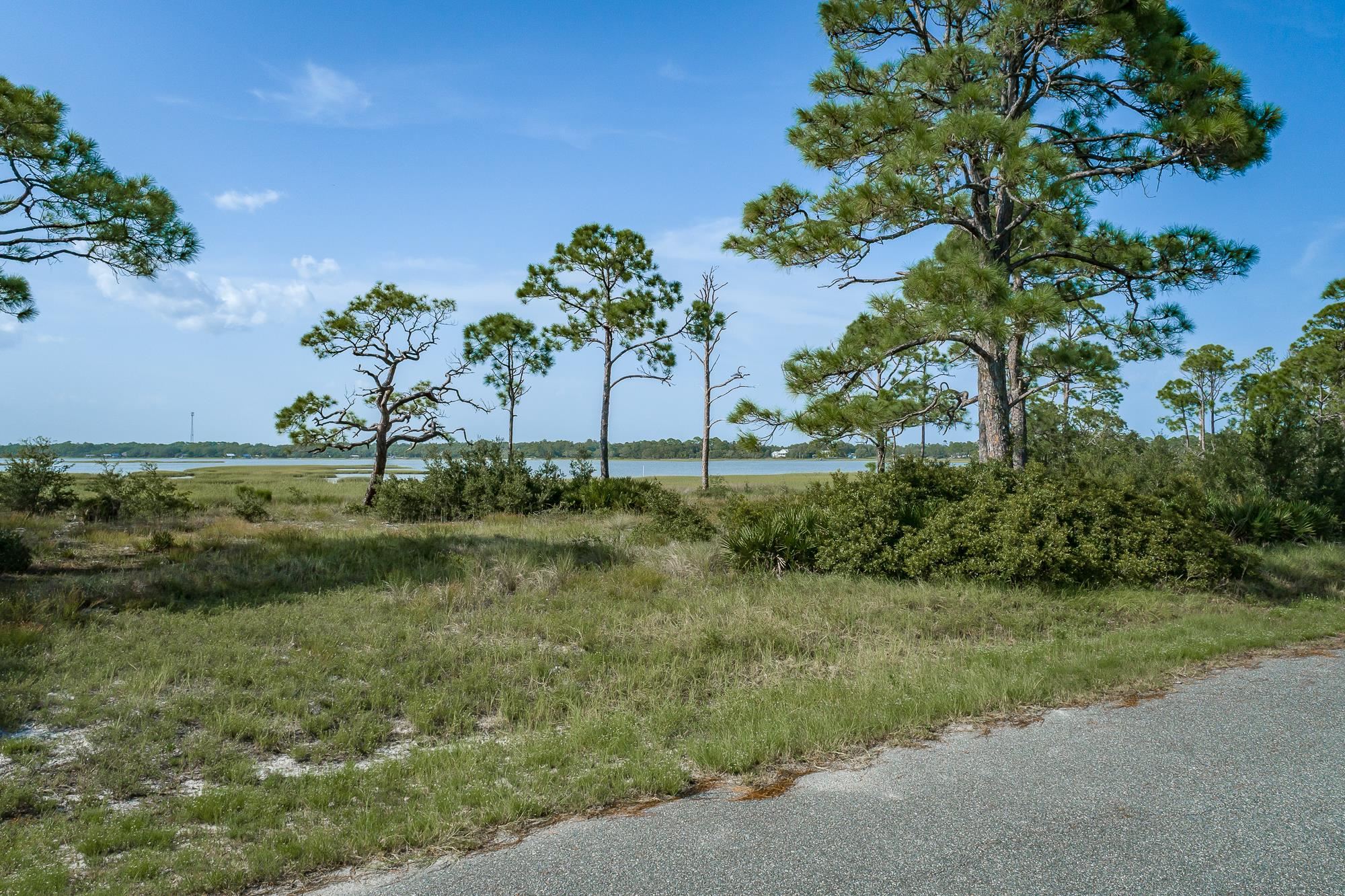 259 Hidden Harbor Drive, Alligator Point, Florida image 6