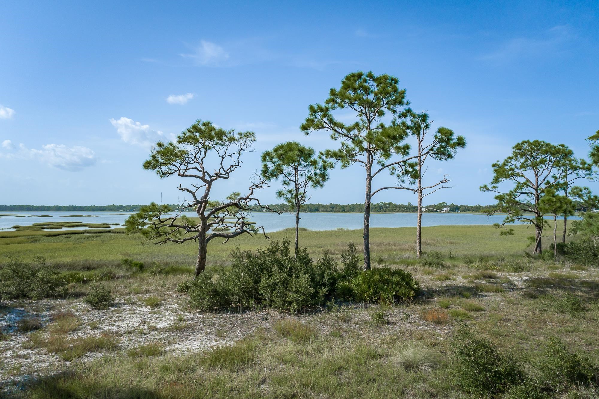 259 Hidden Harbor Drive, Alligator Point, Florida image 7