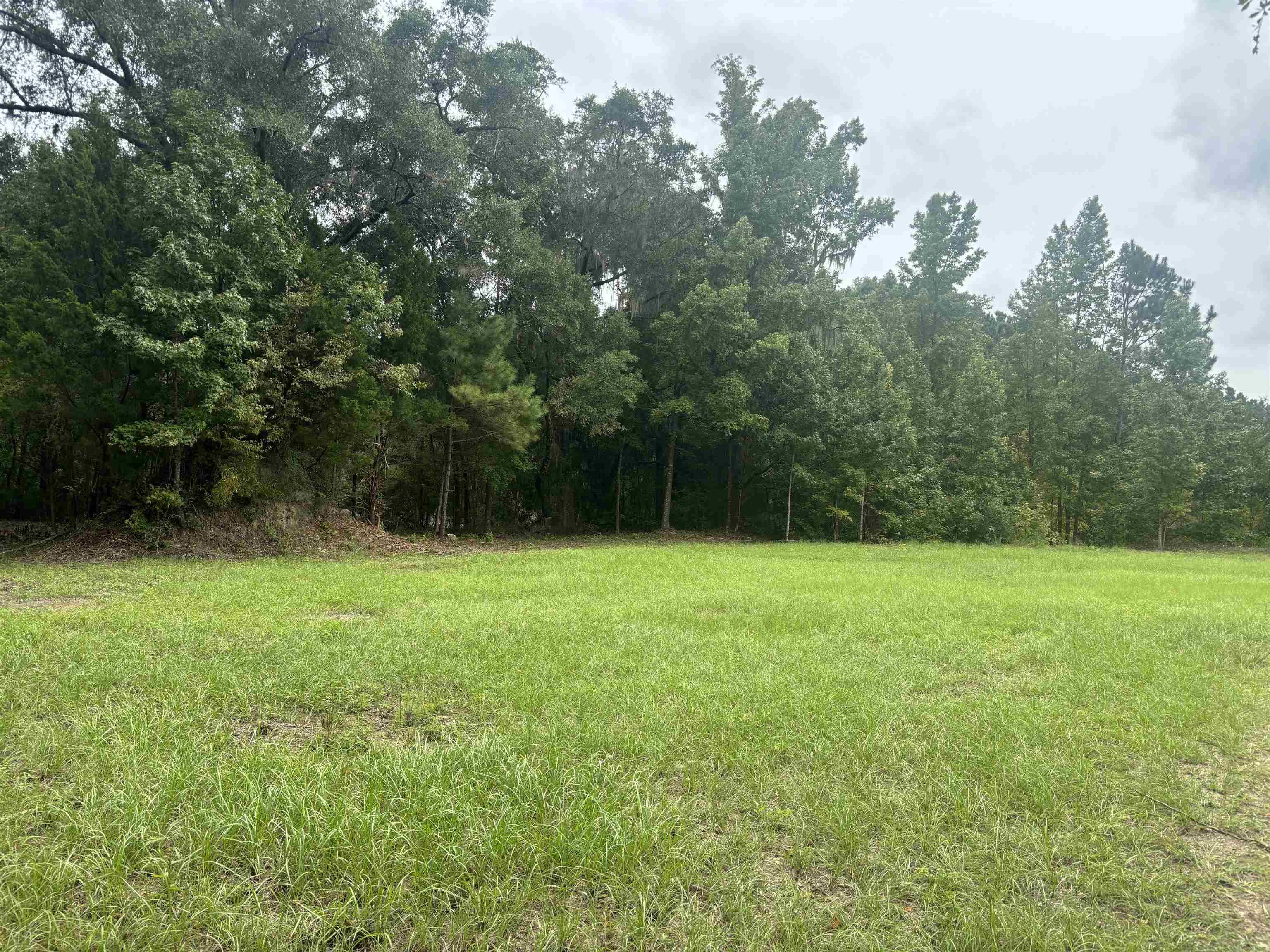 00 Paulette, Crawfordville, Florida image 1