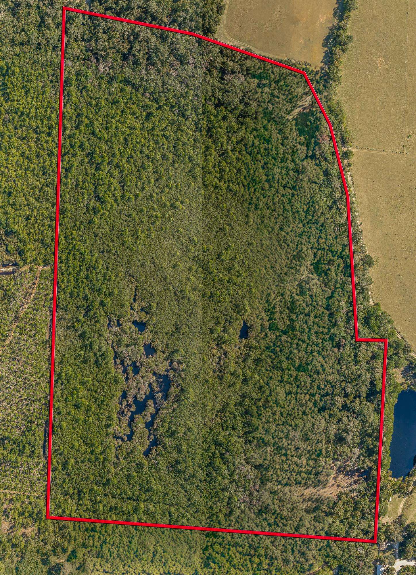 00 Paulette, Crawfordville, Florida image 12