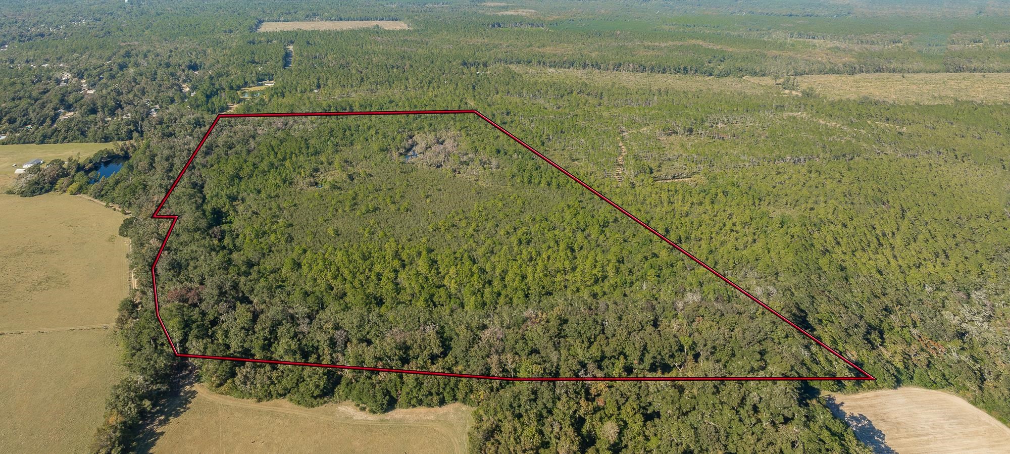 00 Paulette, Crawfordville, Florida image 6