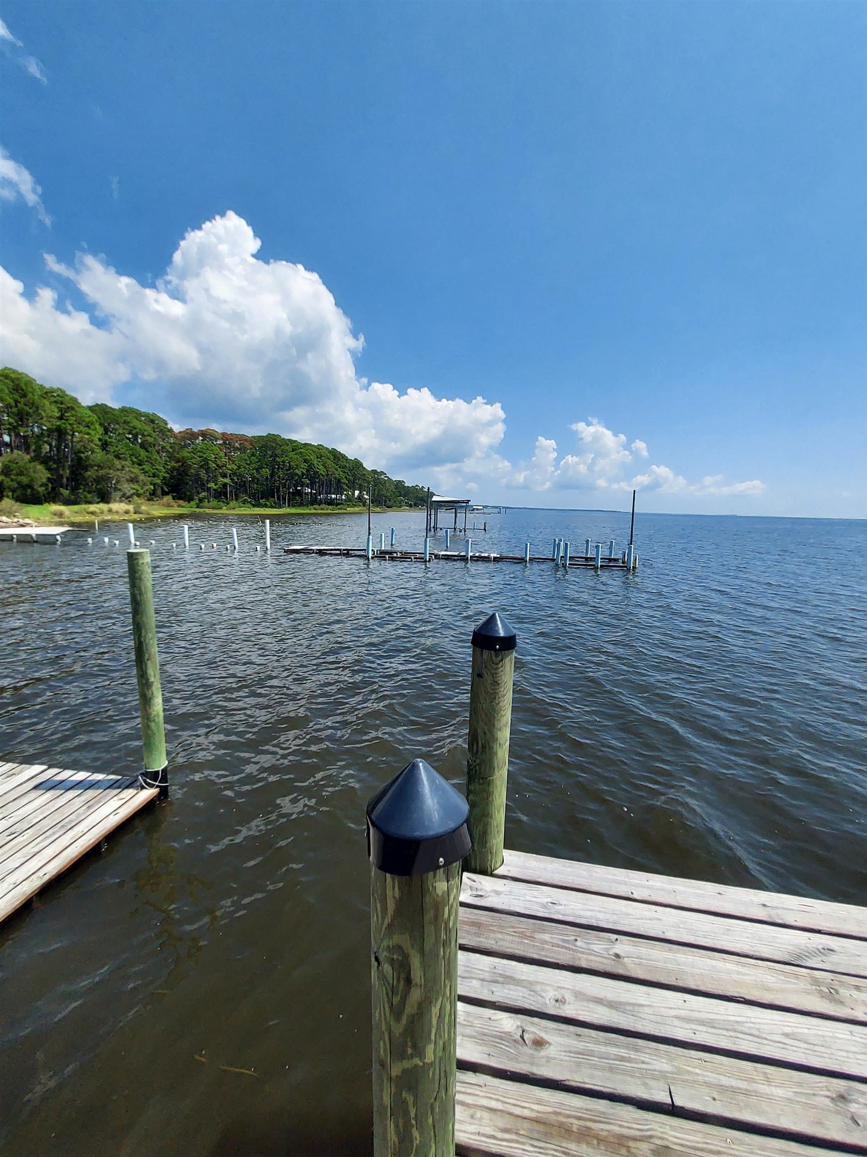 116 Royal Tern Way, Carrabelle, Florida image 14
