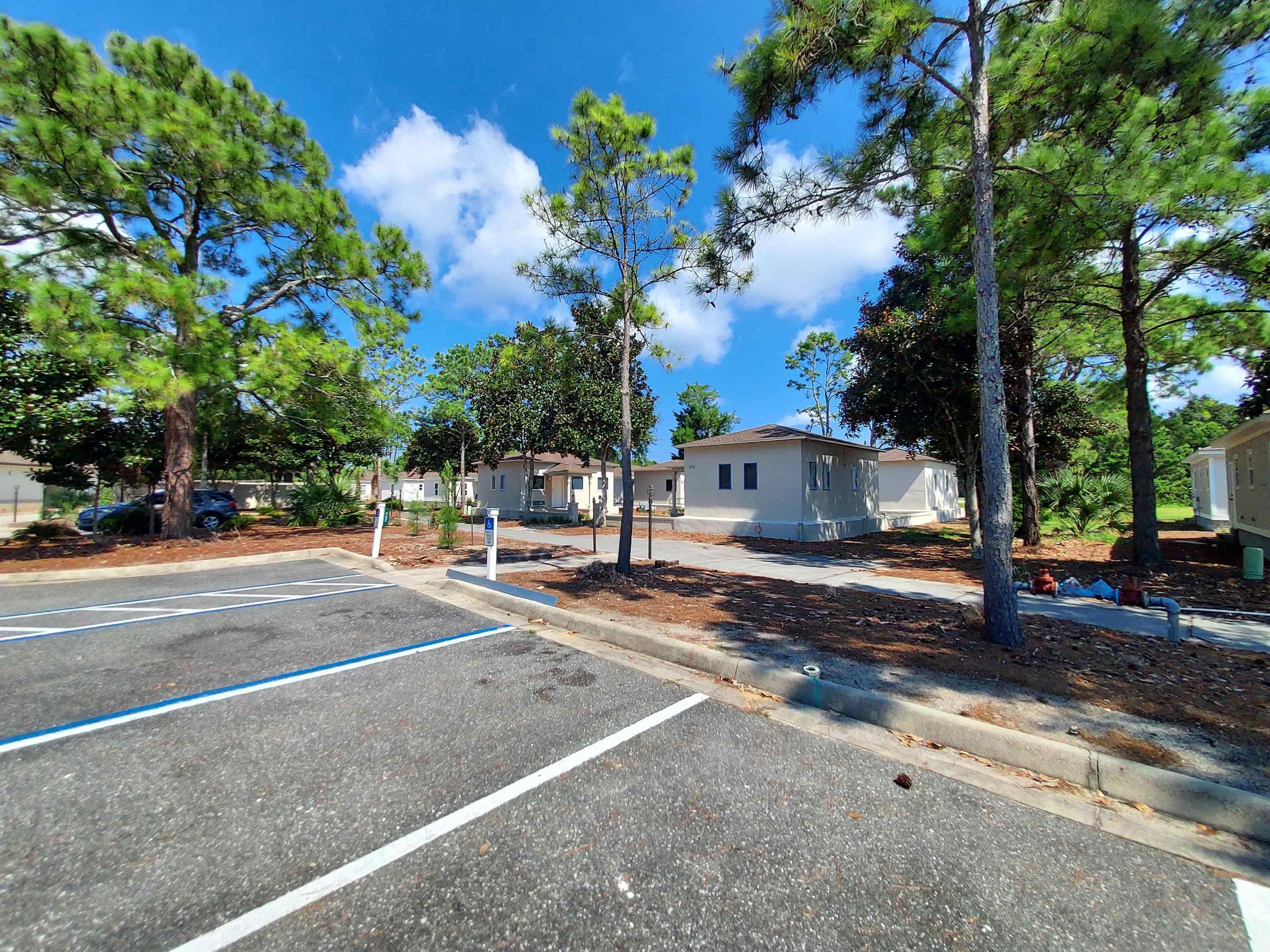 116 Royal Tern Way, Carrabelle, Florida image 9
