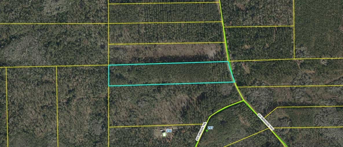 Lot 56 SW Paradise Way, Greenville, Florida image 16