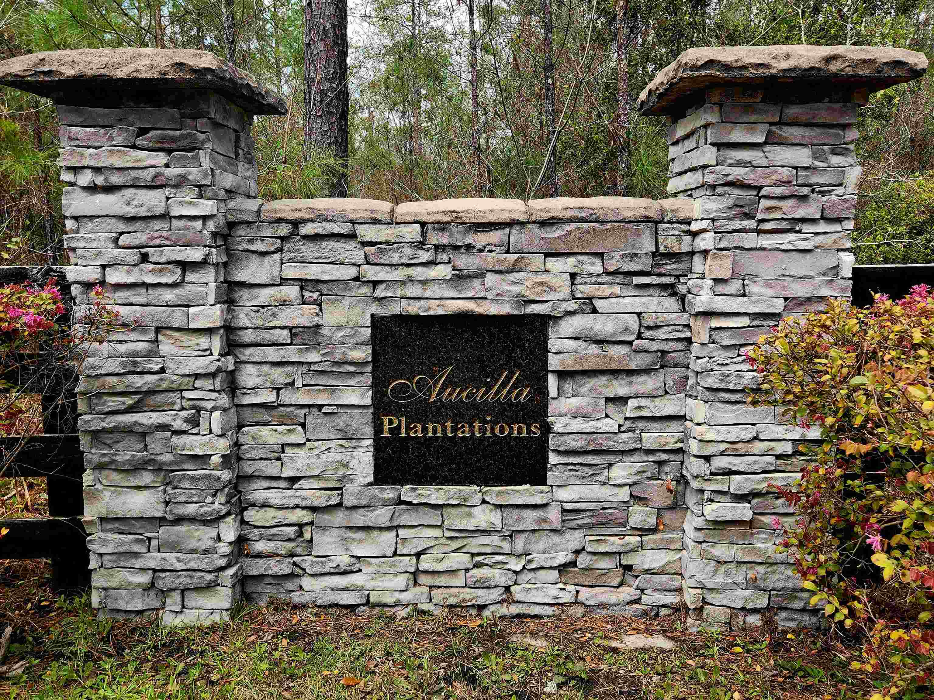 Lot 56 SW Paradise Way, Greenville, Florida image 4