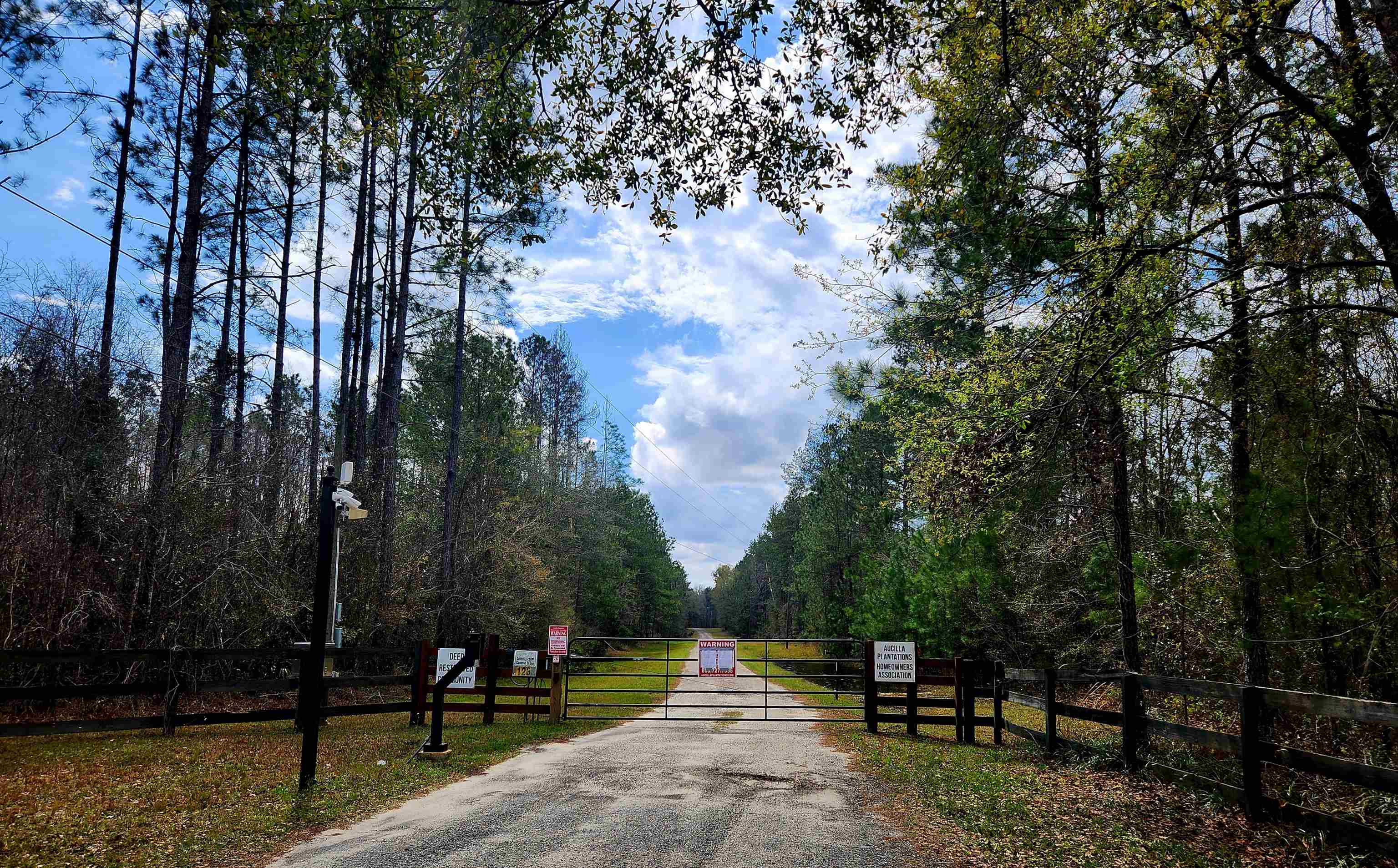 Lot 56 SW Paradise Way, Greenville, Florida image 9
