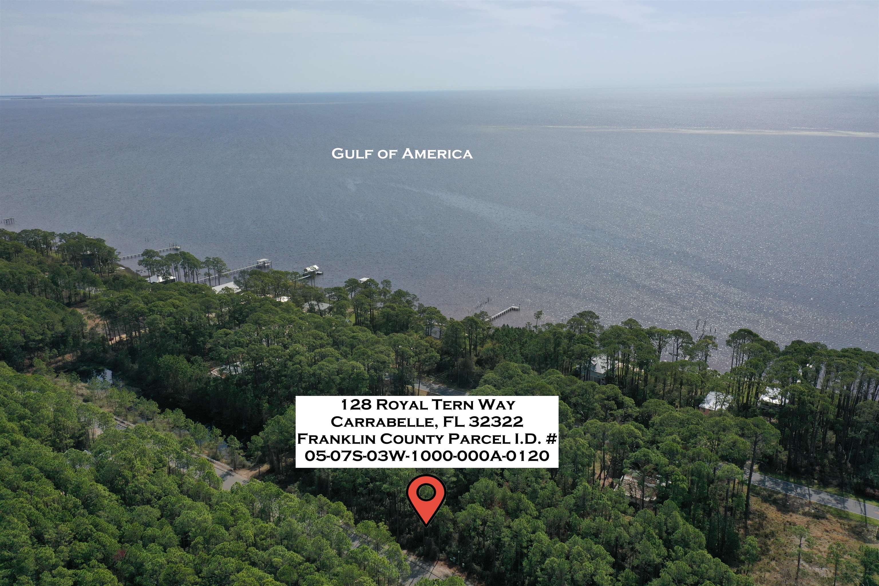 128 Royal Tern Way, Carrabelle, Florida image 1