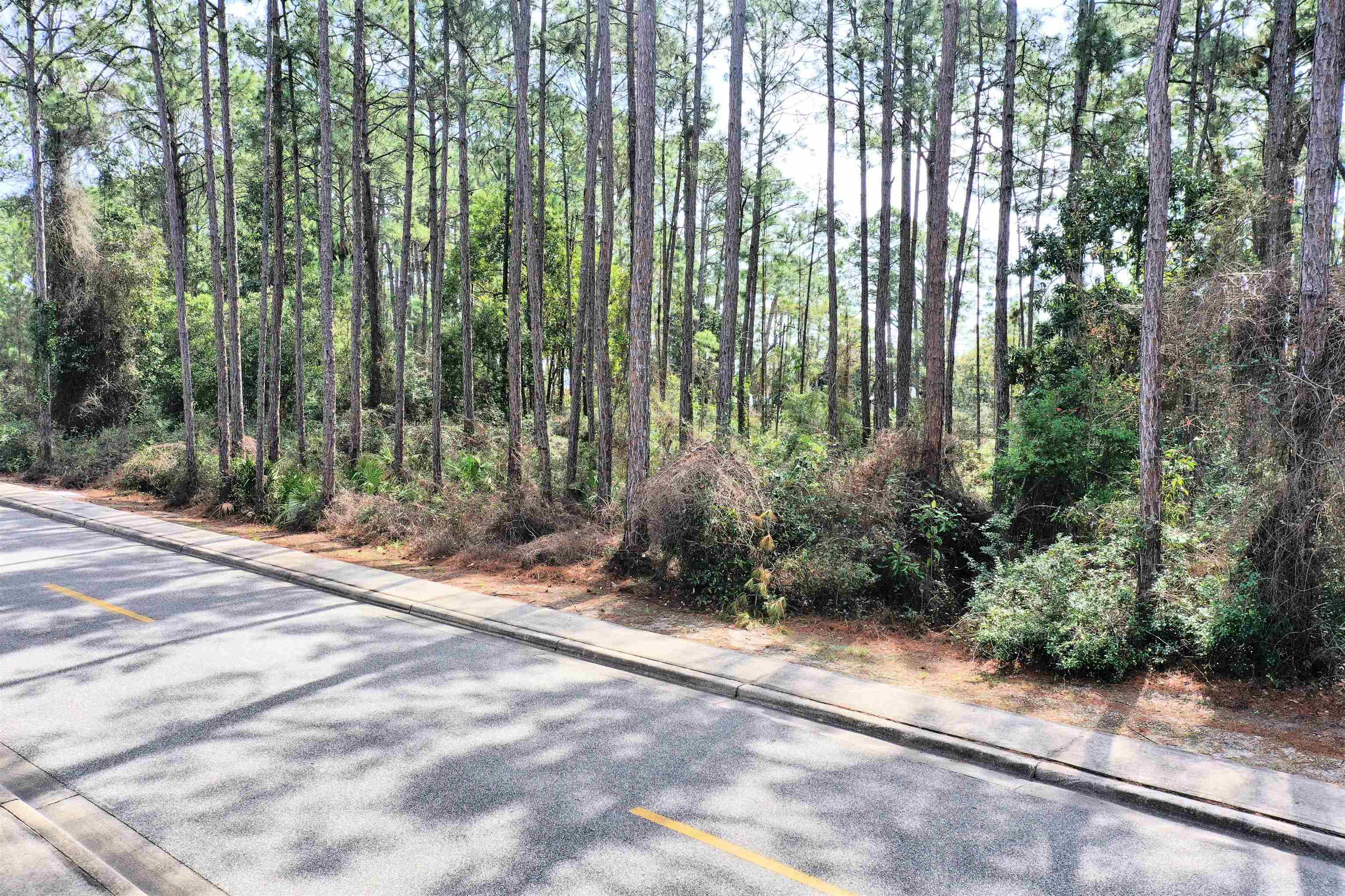 128 Royal Tern Way, Carrabelle, Florida image 16