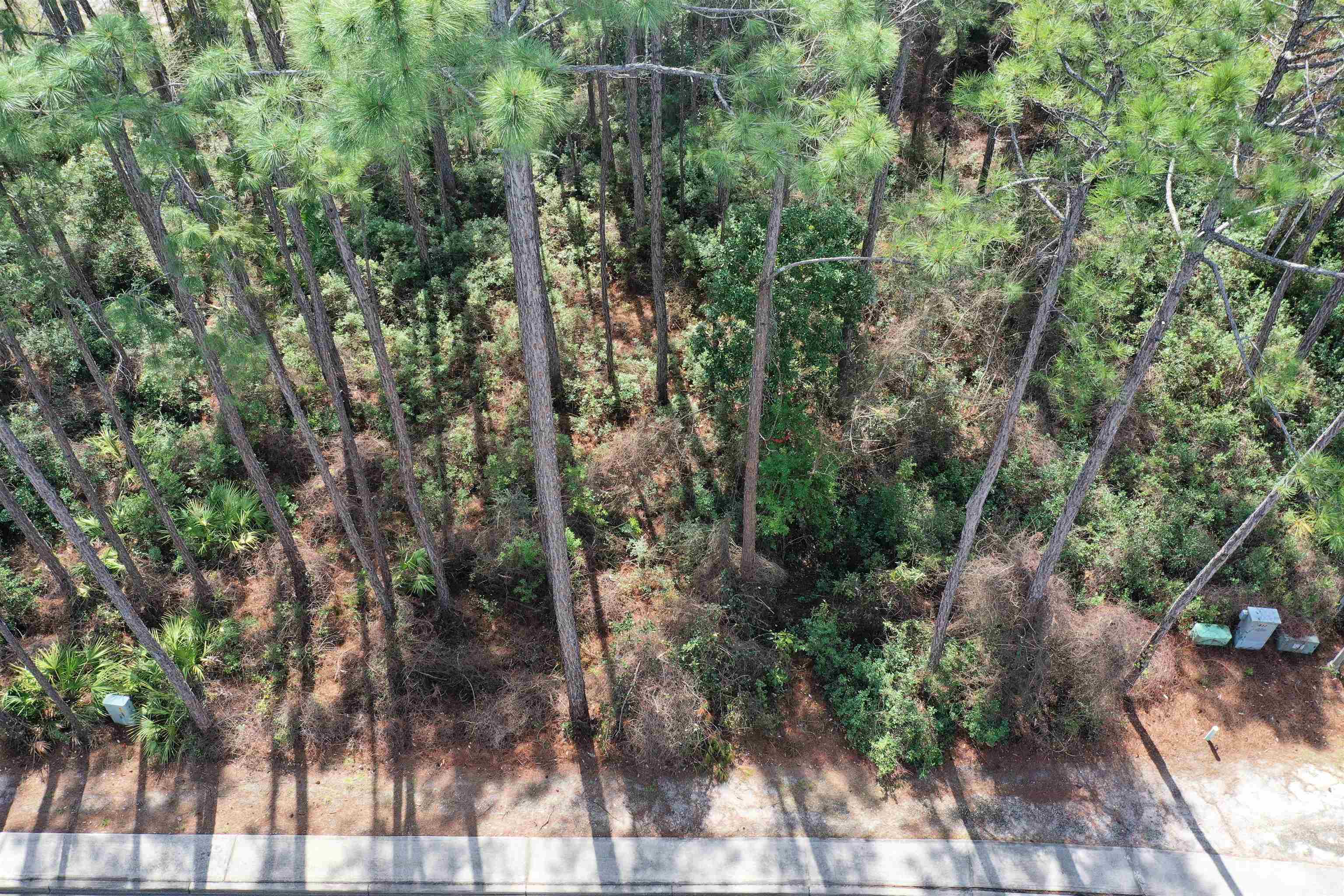 128 Royal Tern Way, Carrabelle, Florida image 3