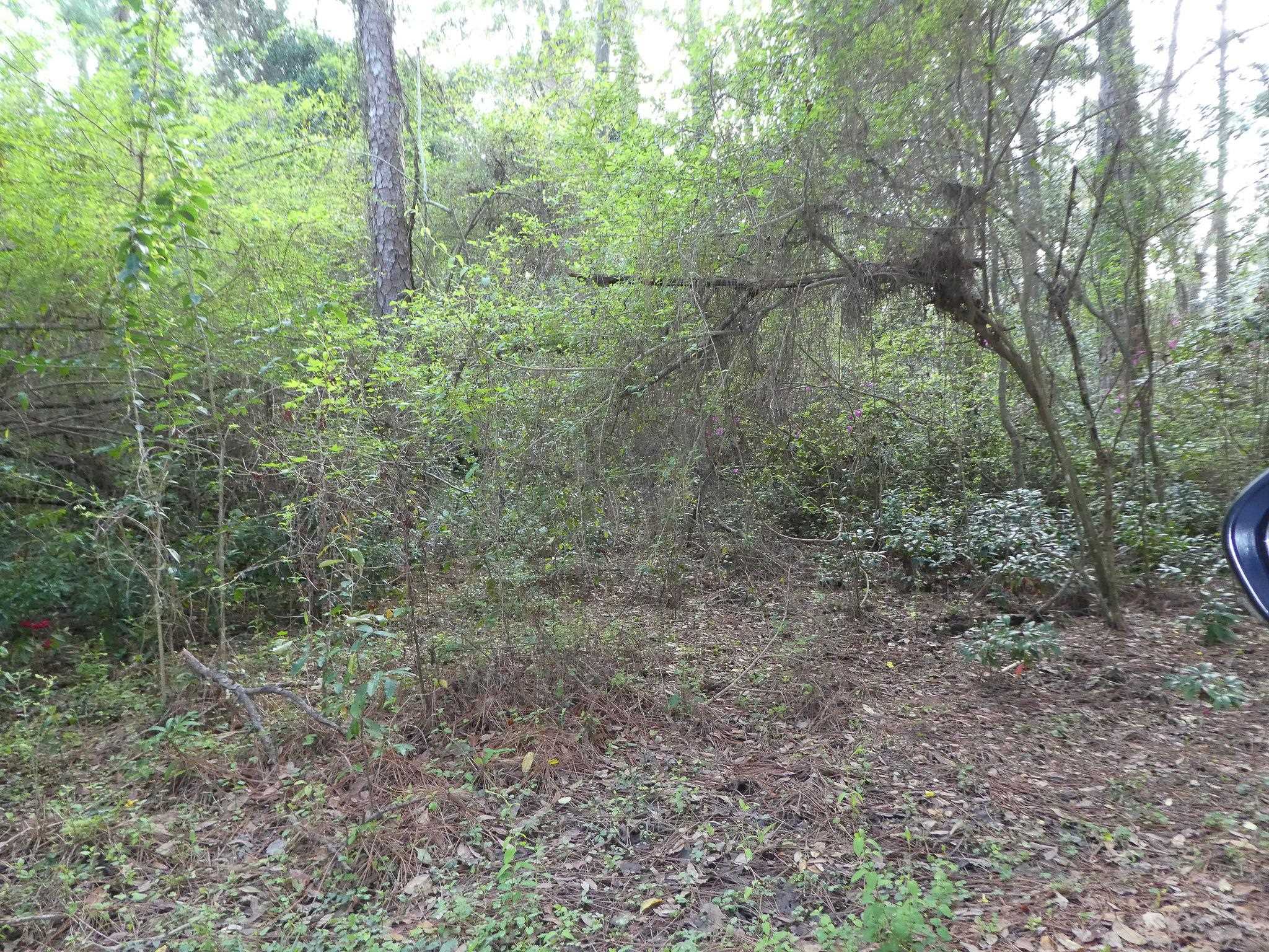 Xxx Thomasville Road, Tallahassee, Florida image 17