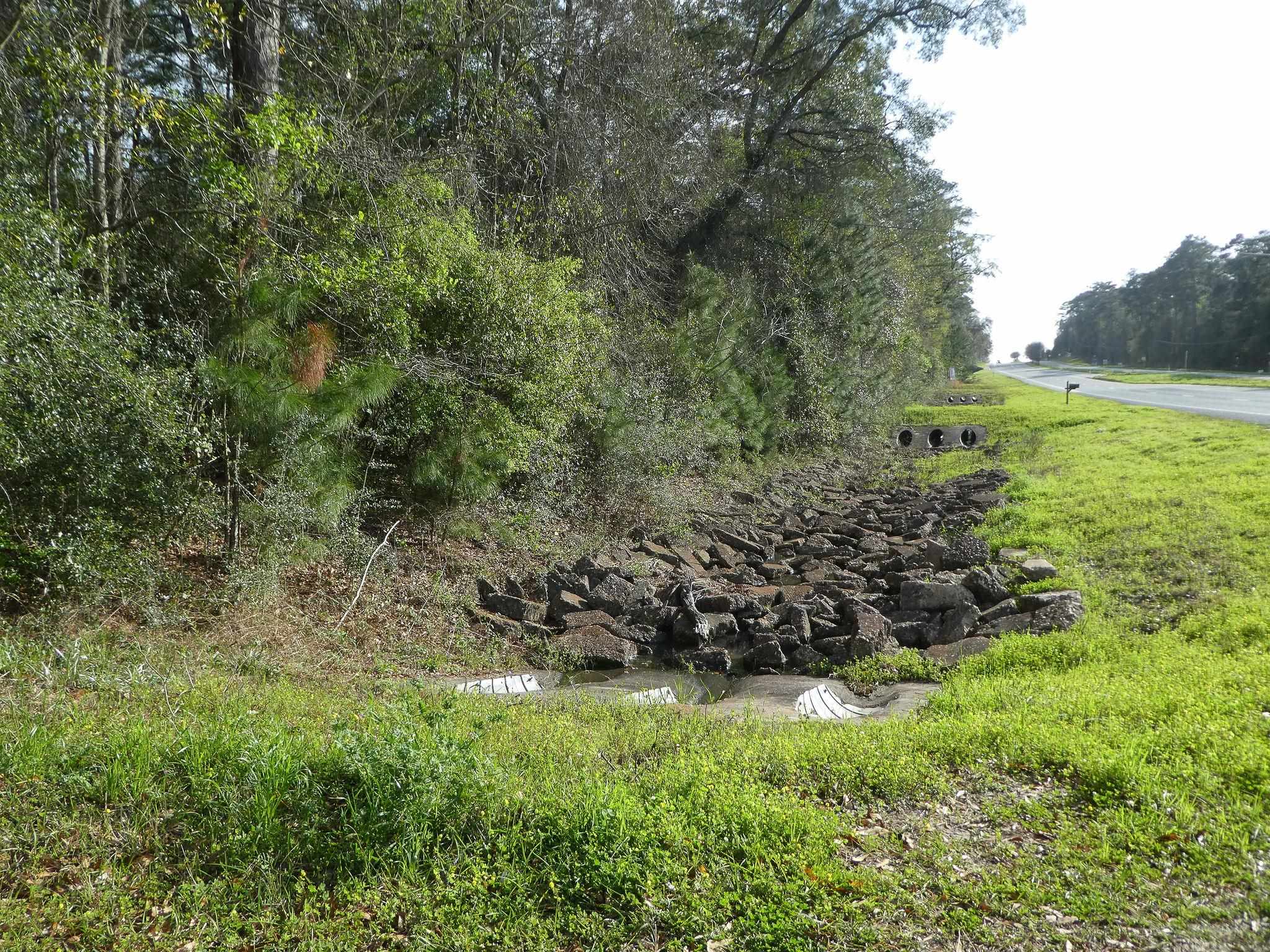 Xxx Thomasville Road, Tallahassee, Florida image 18