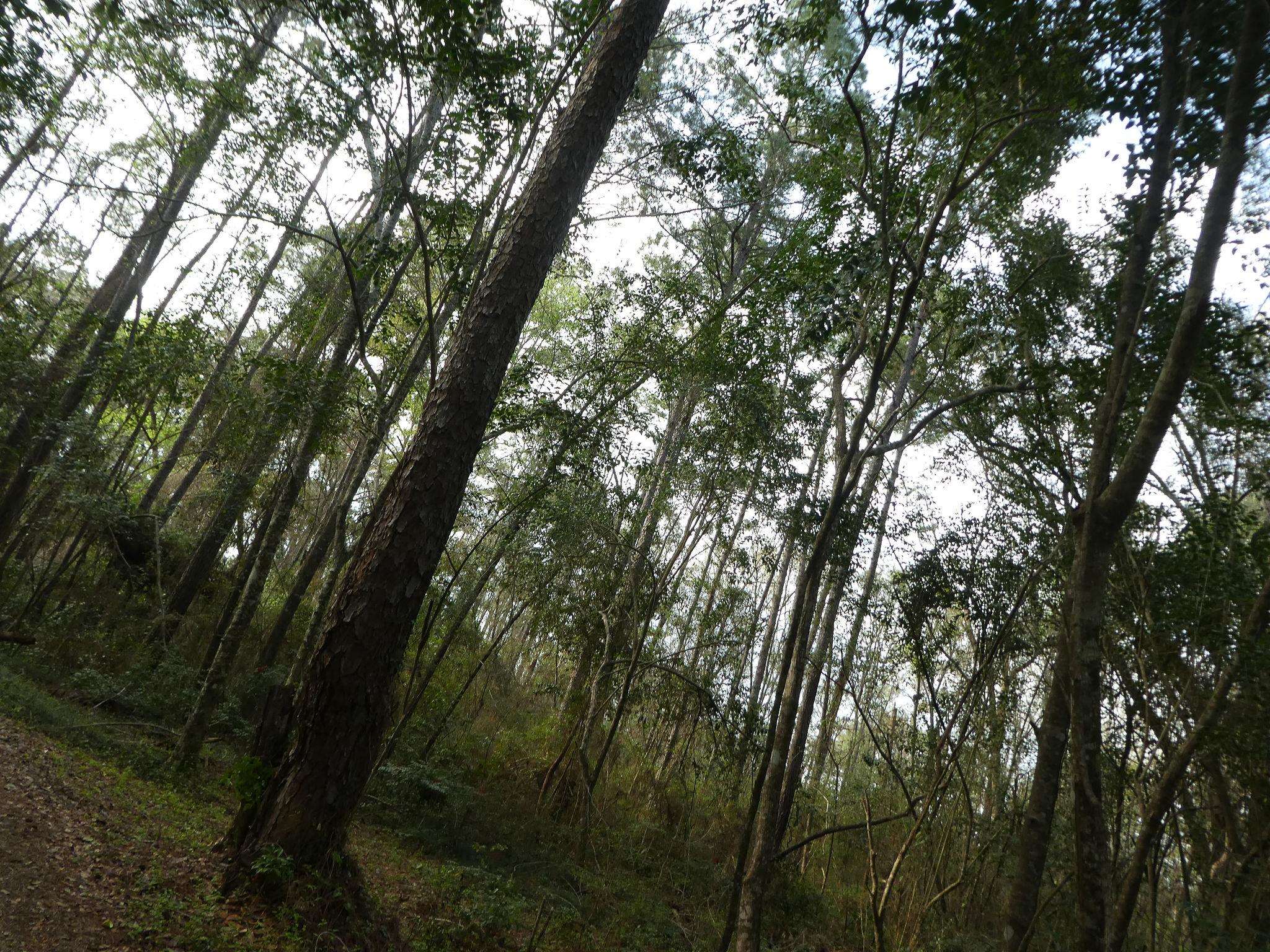 Xxx Thomasville Road, Tallahassee, Florida image 19