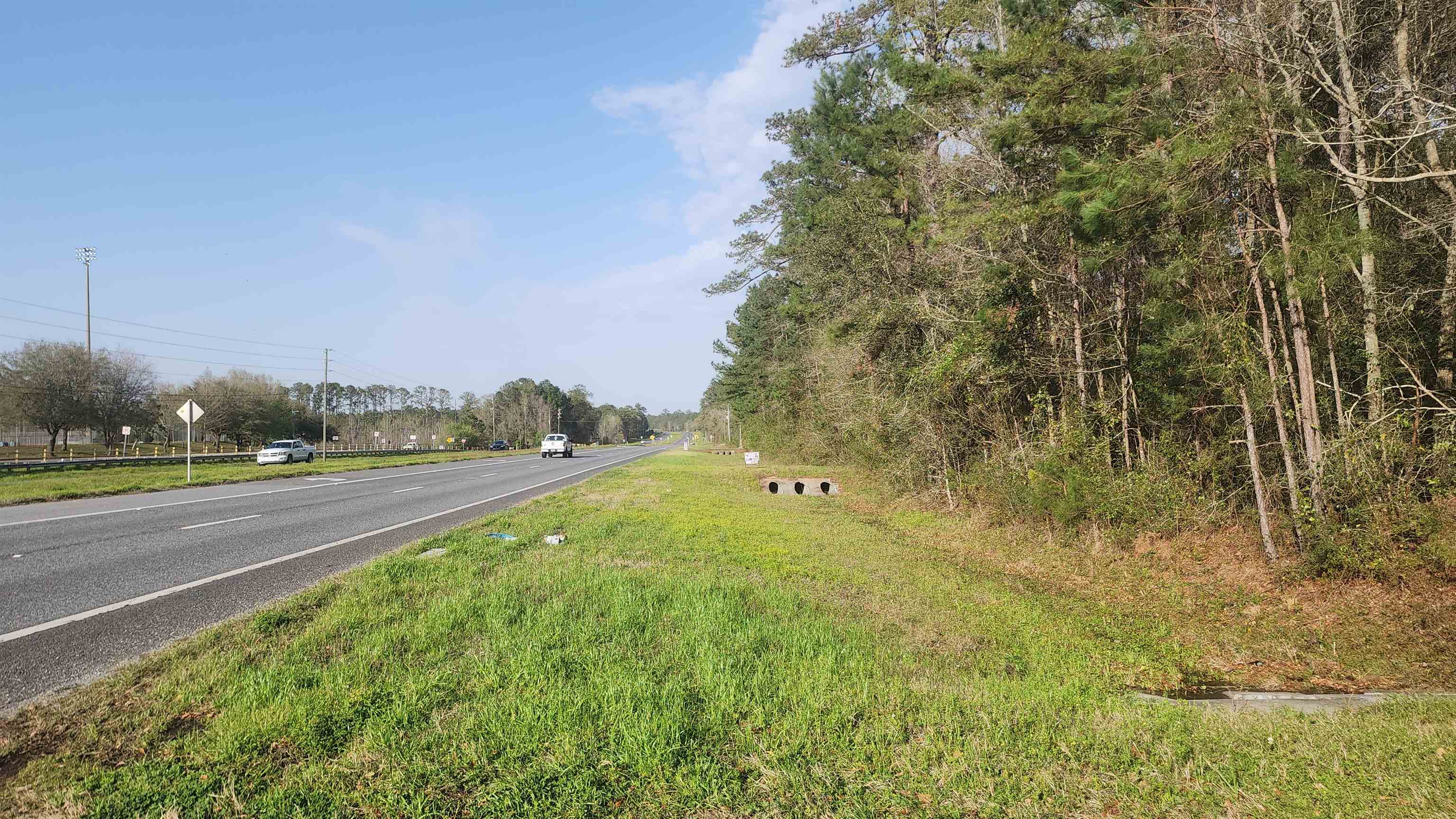 Xxx Thomasville Road, Tallahassee, Florida image 2